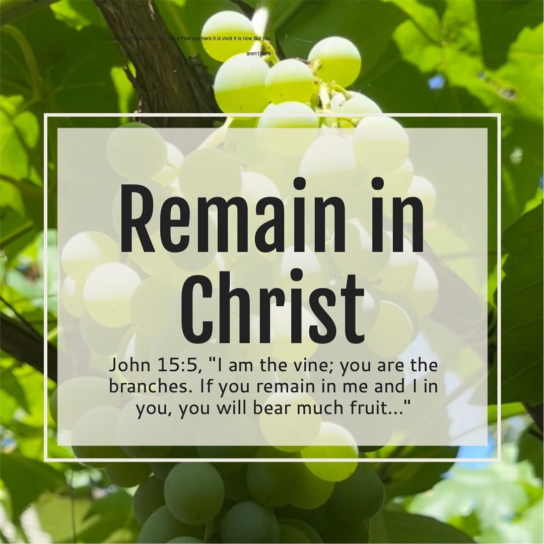 John 15:5 &ldquo;I am the vine; you are the branches. If you remain in me and I in you, you will bear much fruit...&rdquo;

Leaning in, staying on the vine, remaining in Christ&mdash;this is how we grow stronger. Everything else we do is secondary to