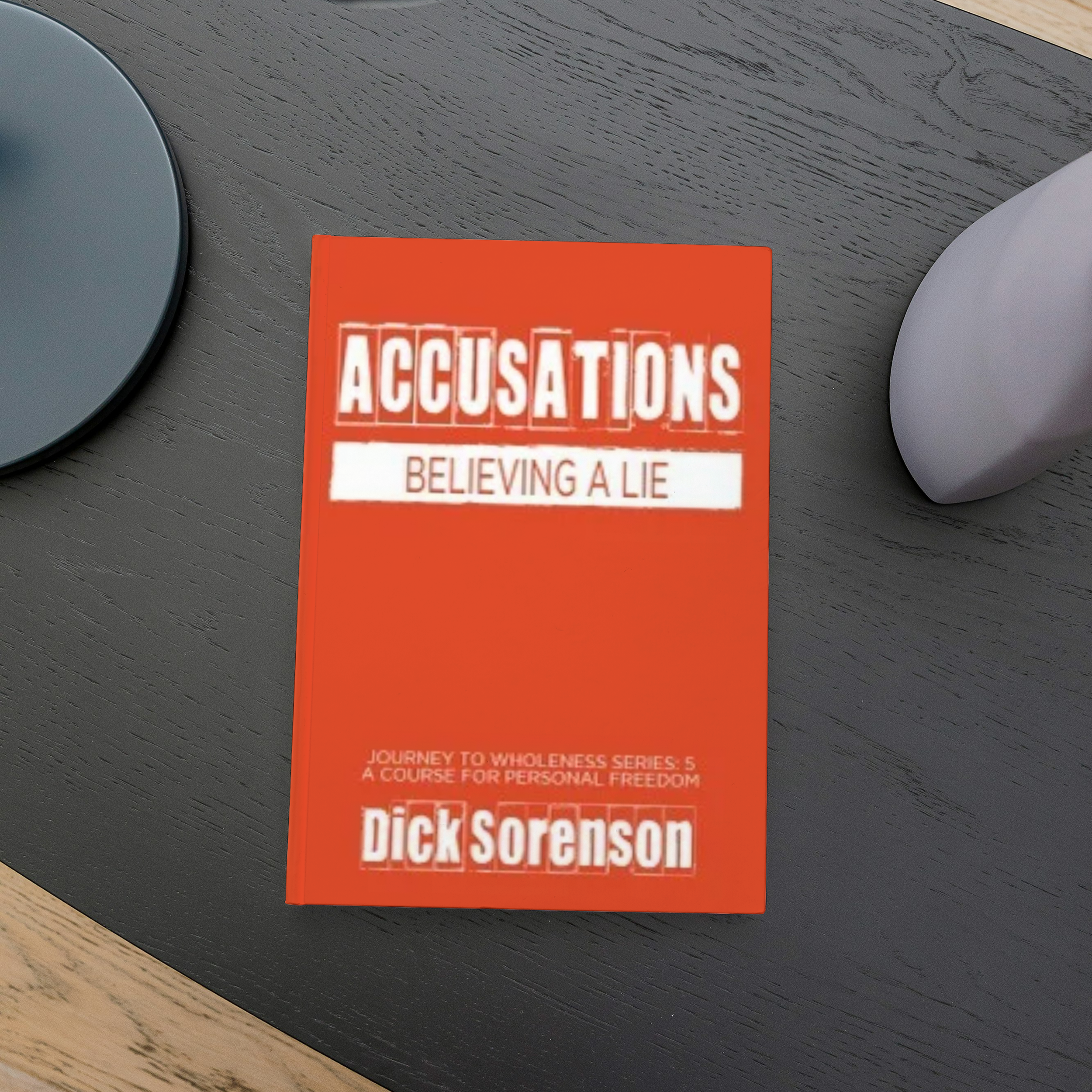Accusations Book cover