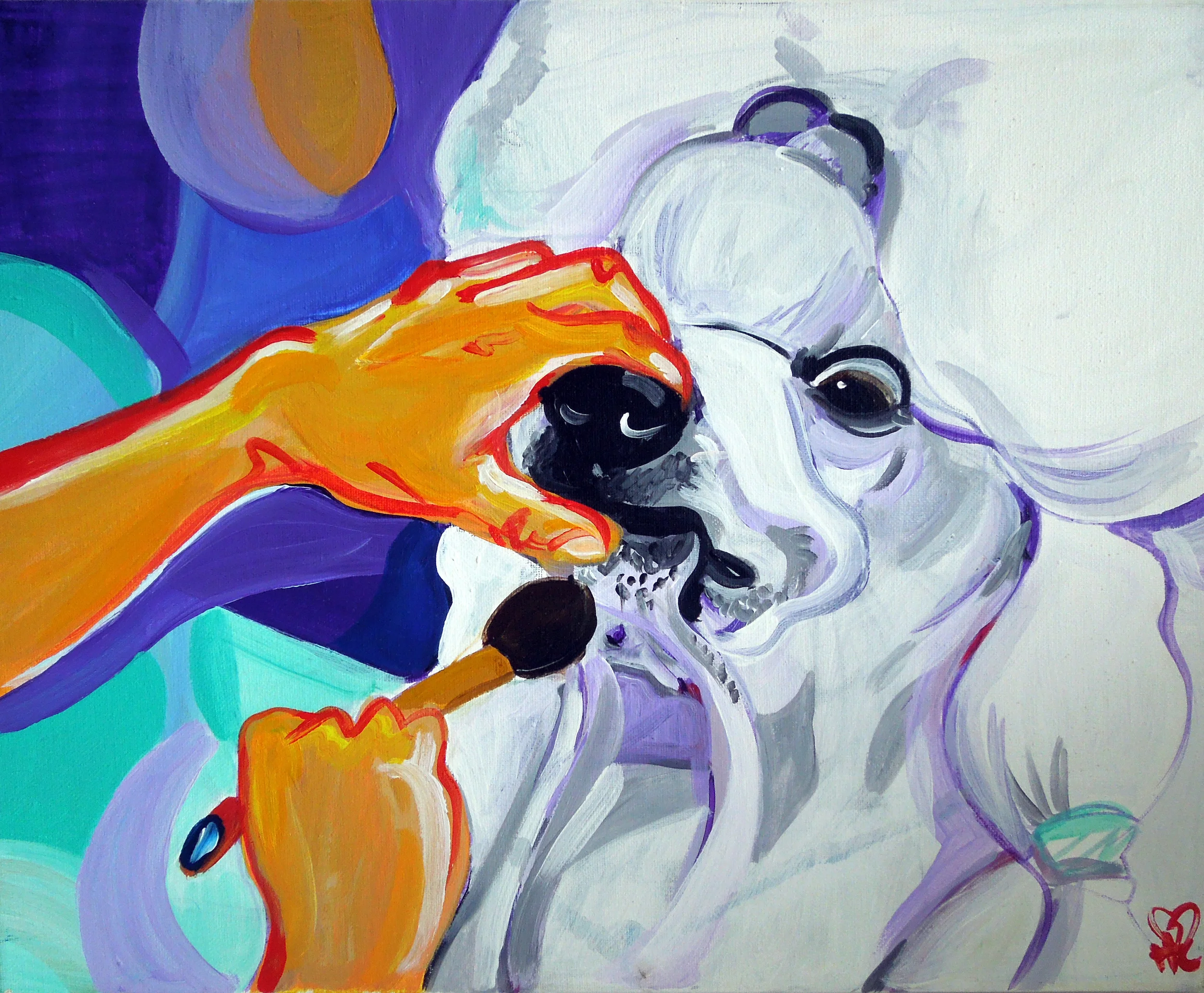 Poodle - Before the Show