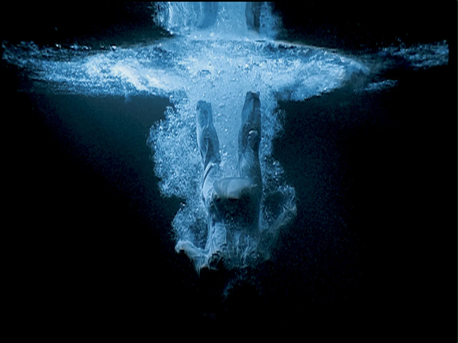 Bill Viola