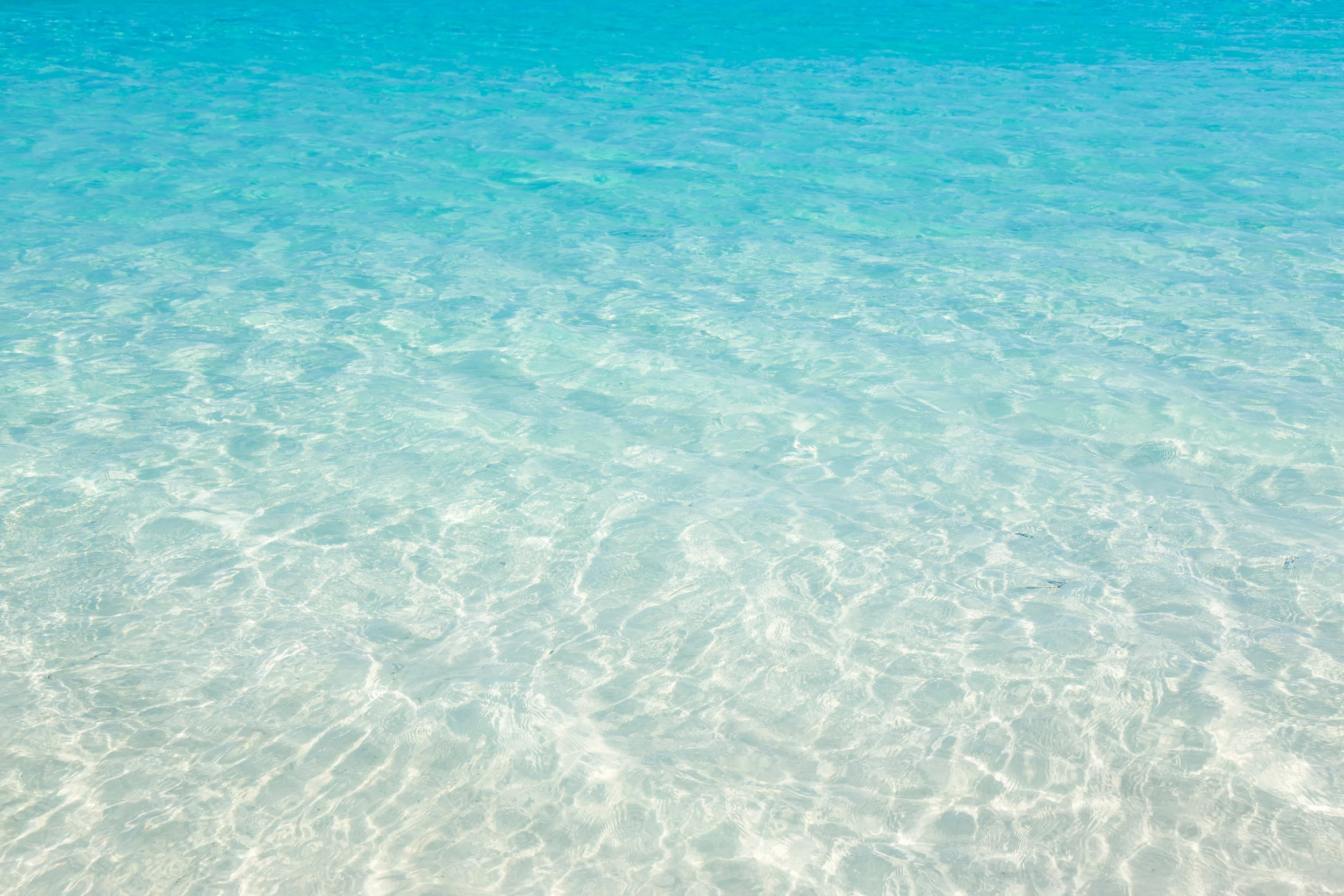 AdobeStock_109337580.jpeg