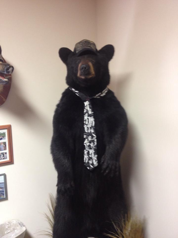 Actual bear in Mark's office
