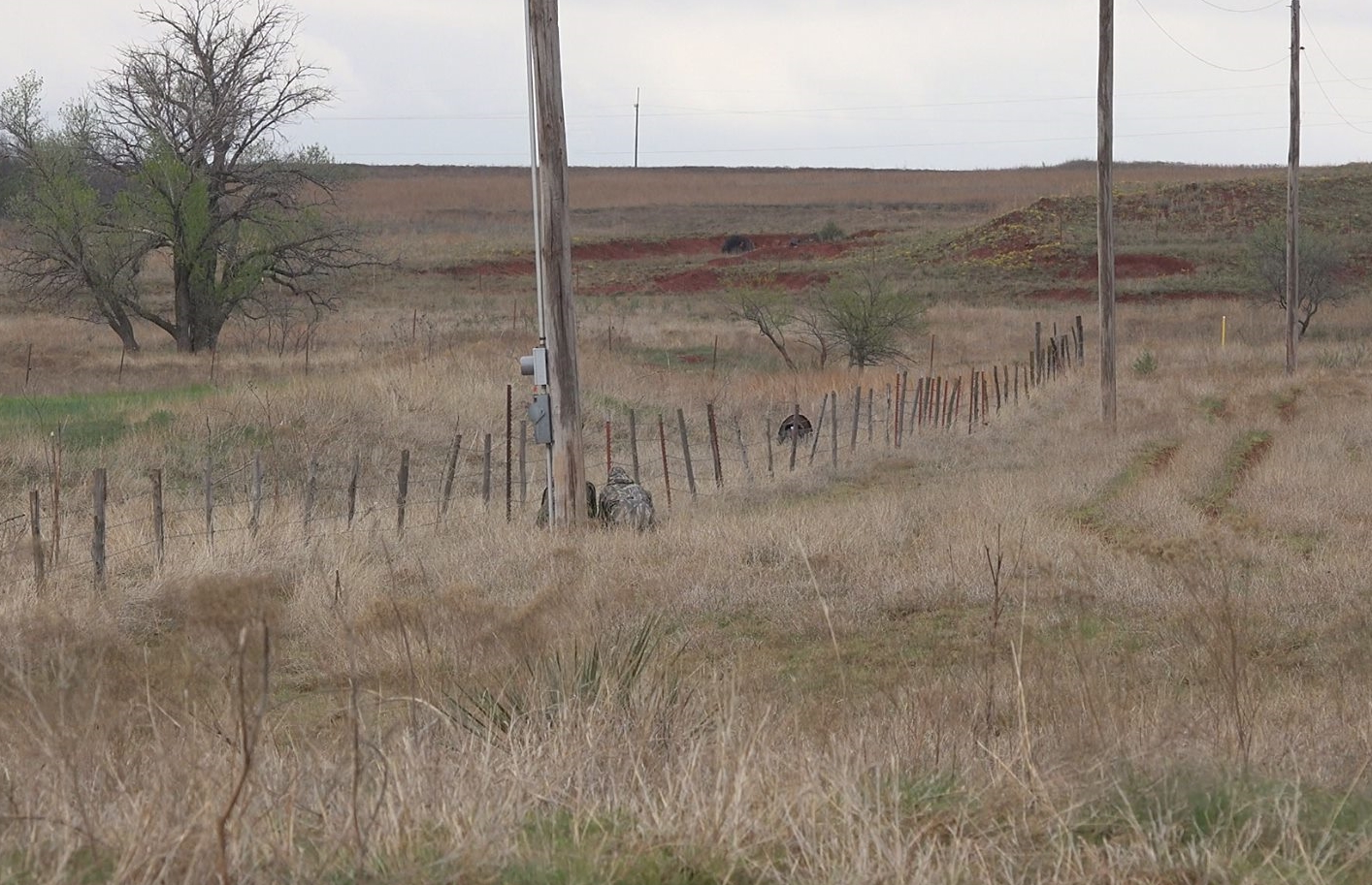 Using a fan to crawl at a longbeard with Kiowa Creek Outfitters.