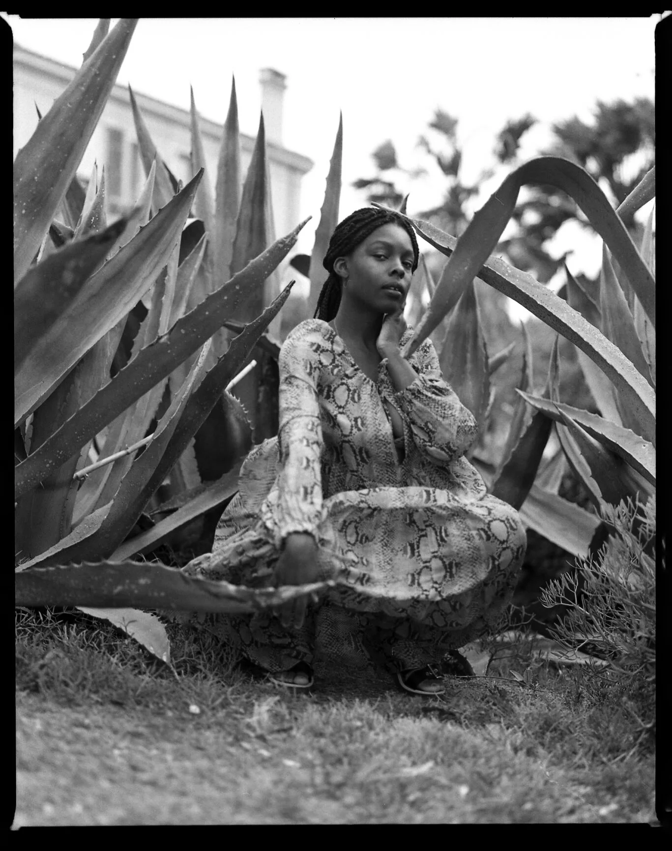 June27Archive070.jpg