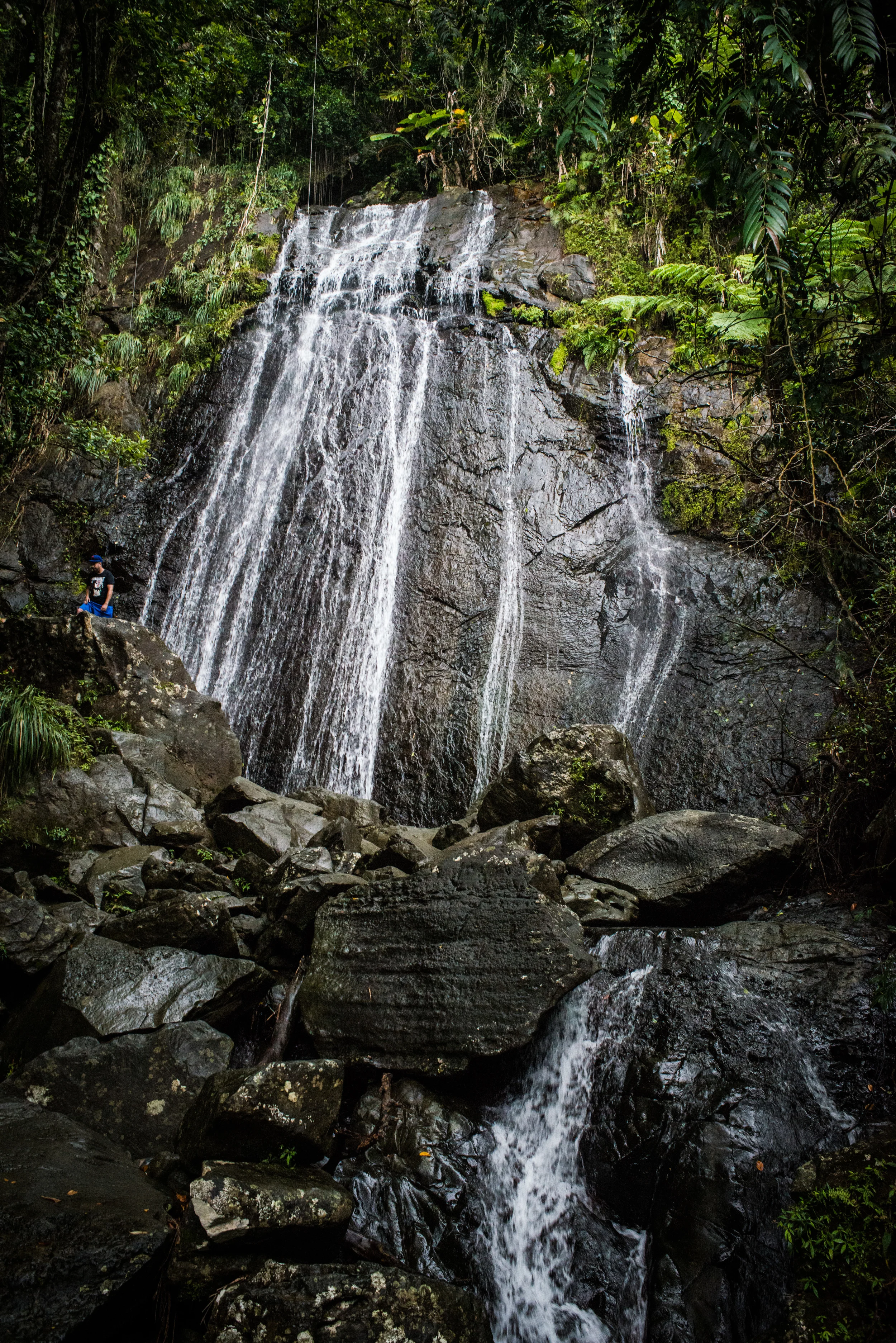 DSC_4307.jpg