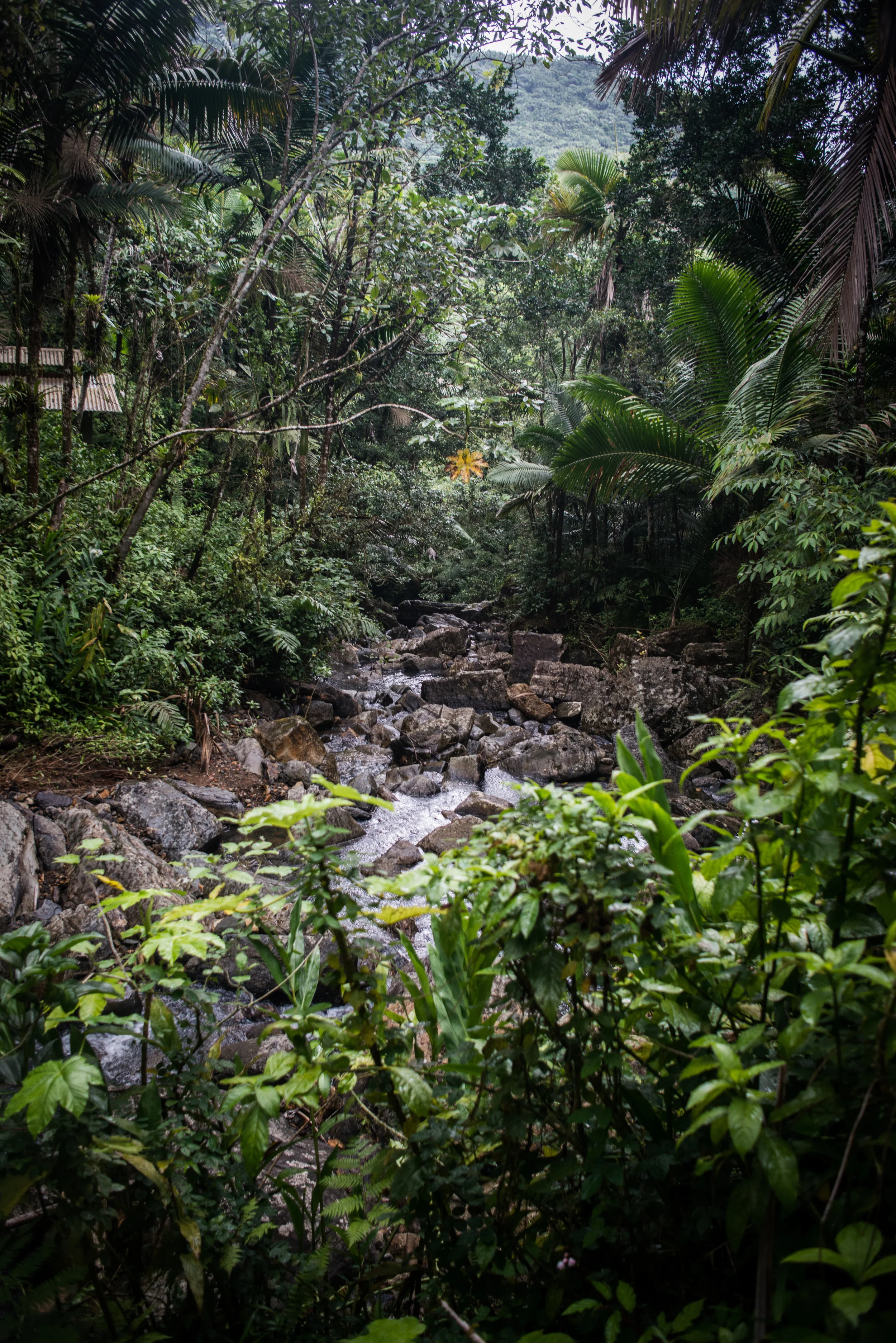 DSC_4314.jpg