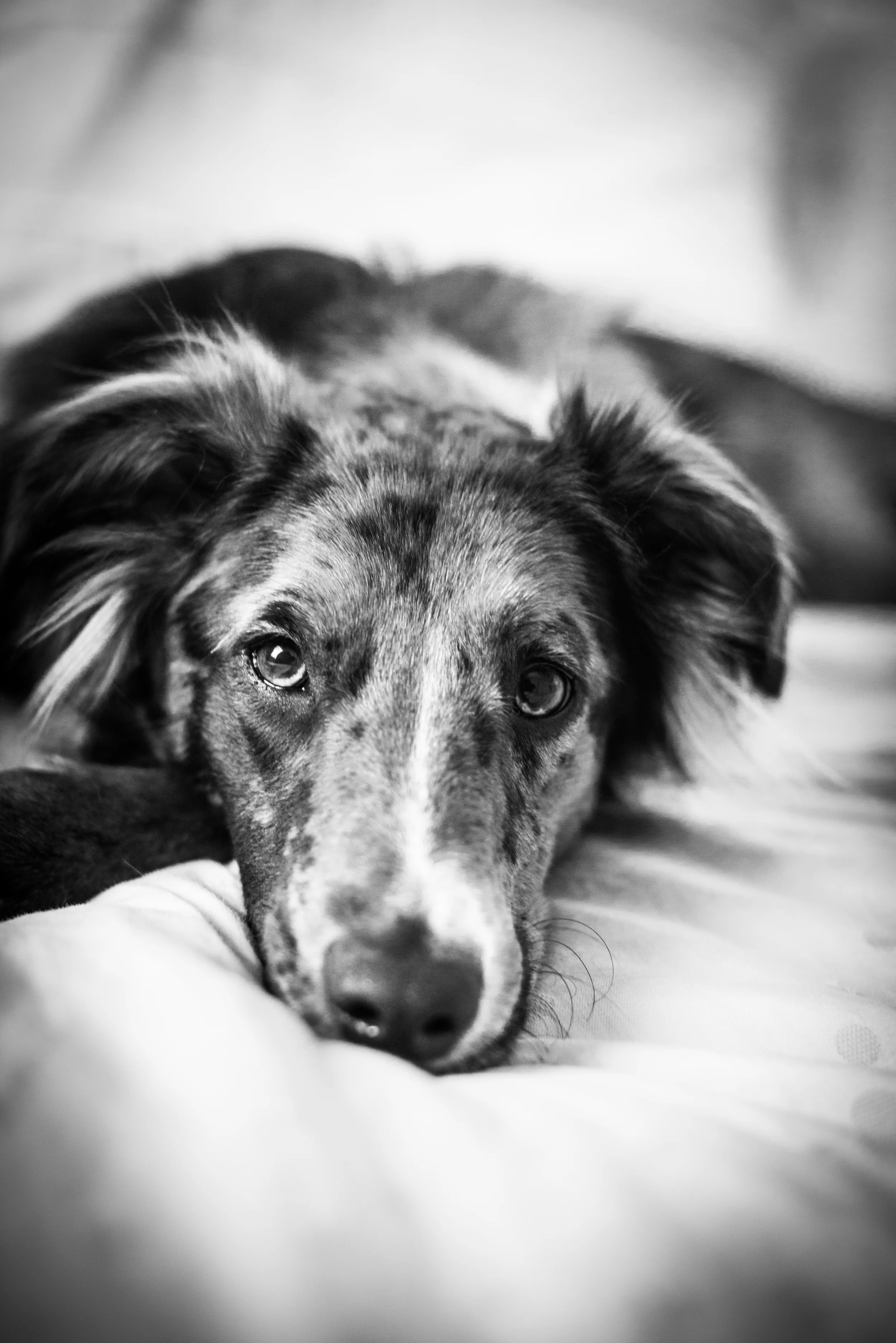 DSC_8620_BW.jpg