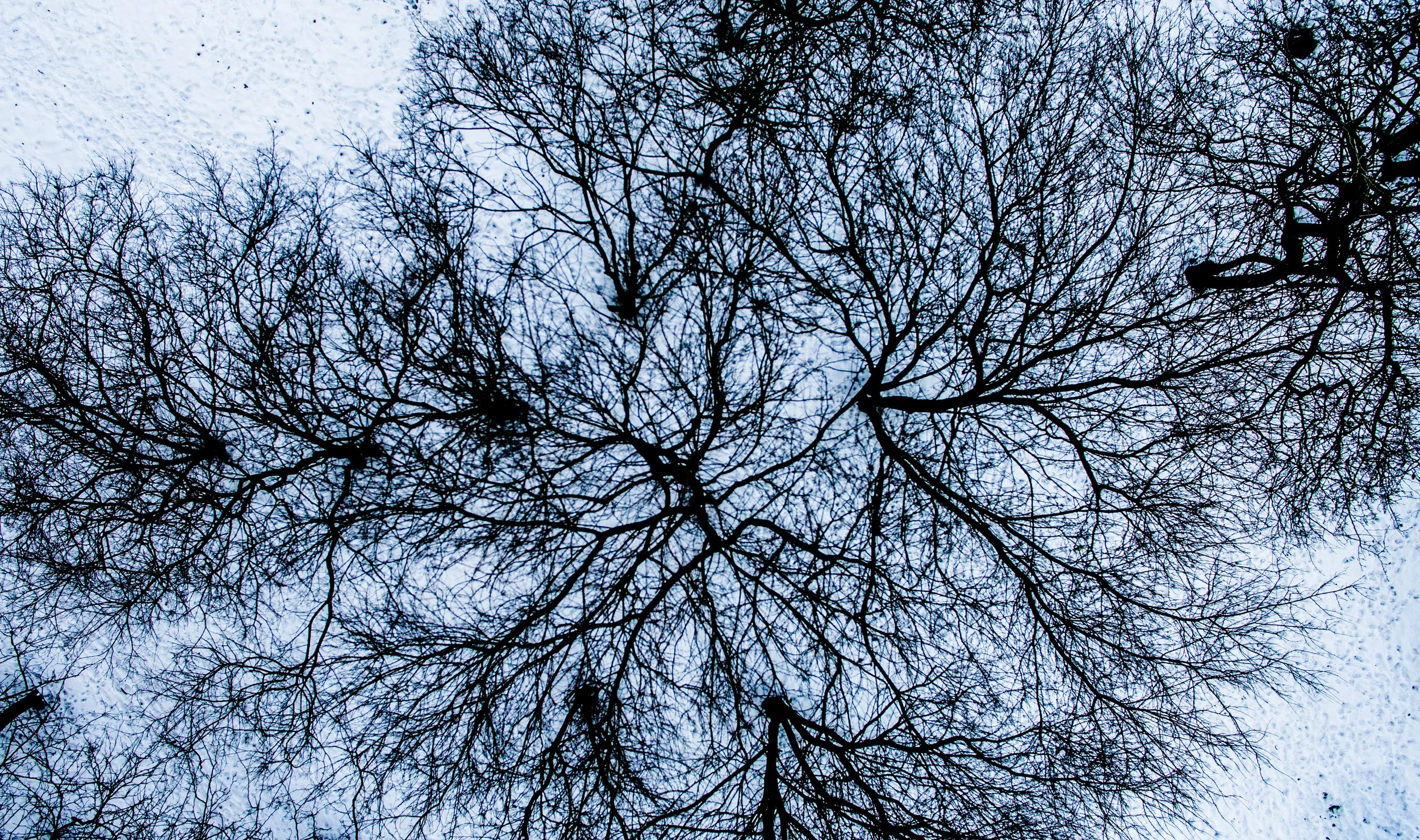 DJI_0336.jpg
