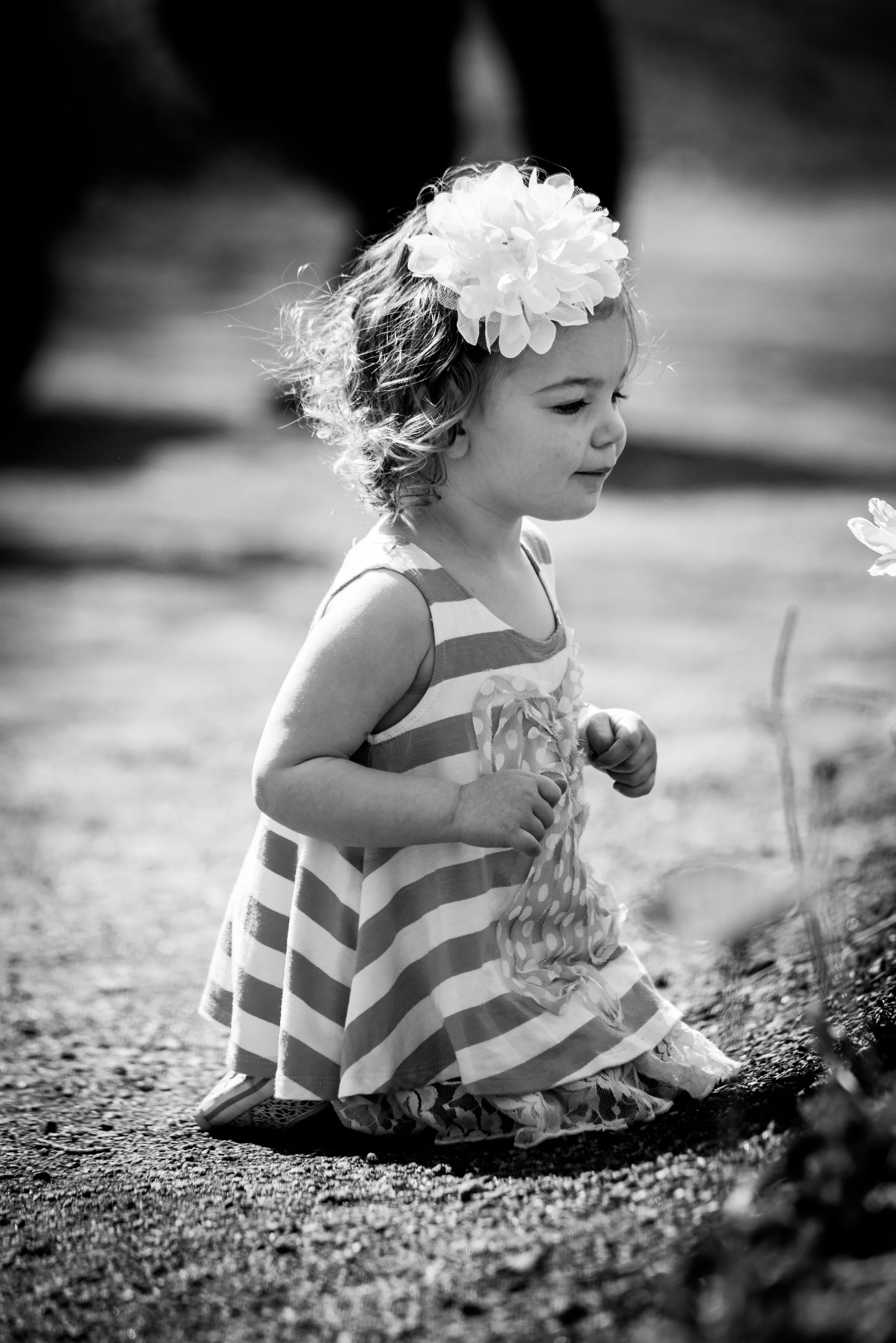 DSC_1198_BW.jpg