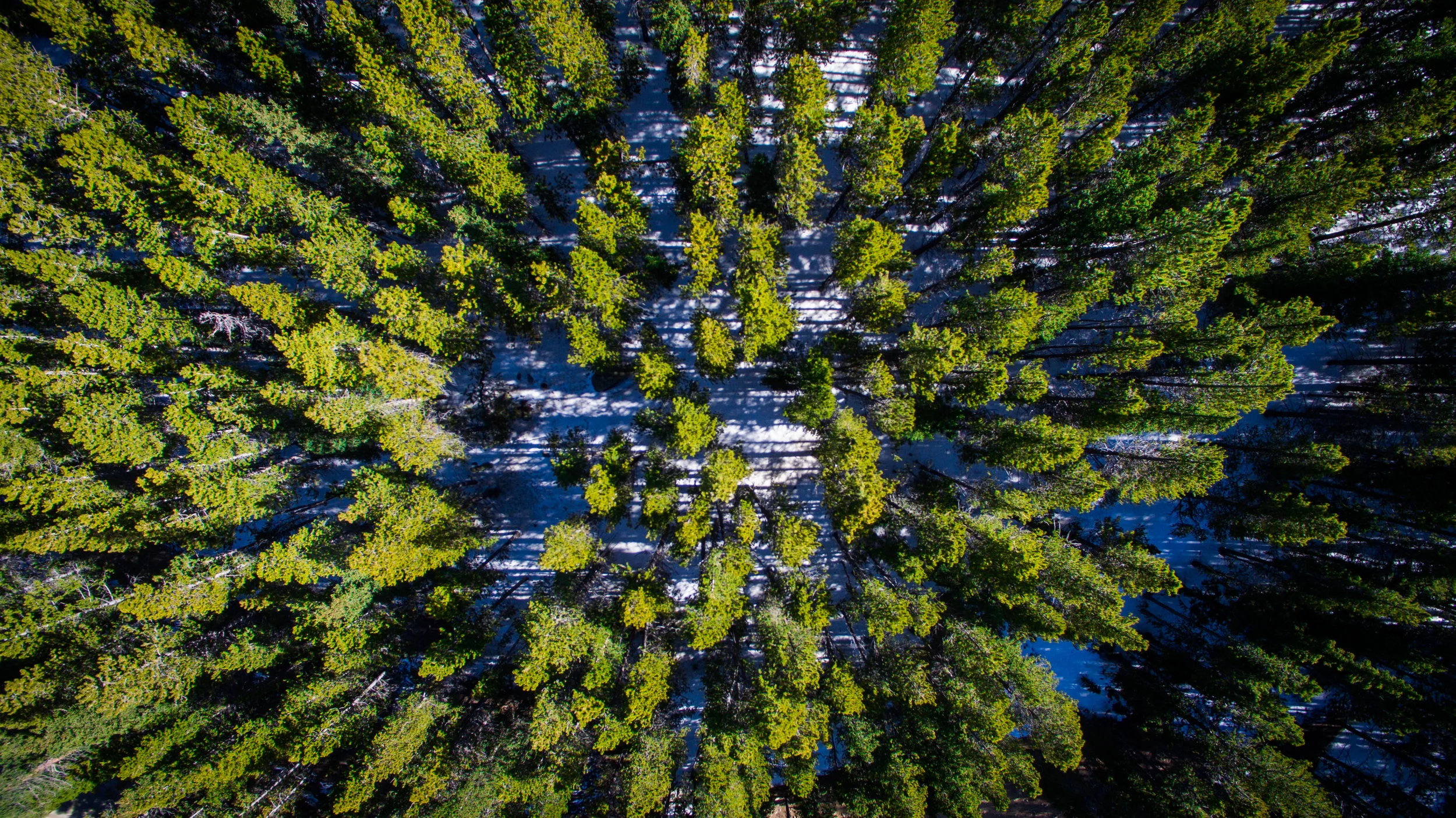 DJI_0142.jpeg
