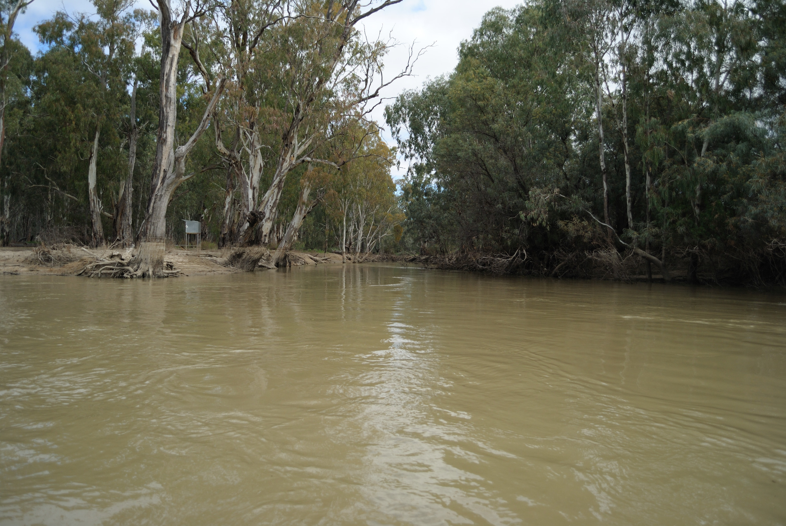 Lindsay River, Victoria