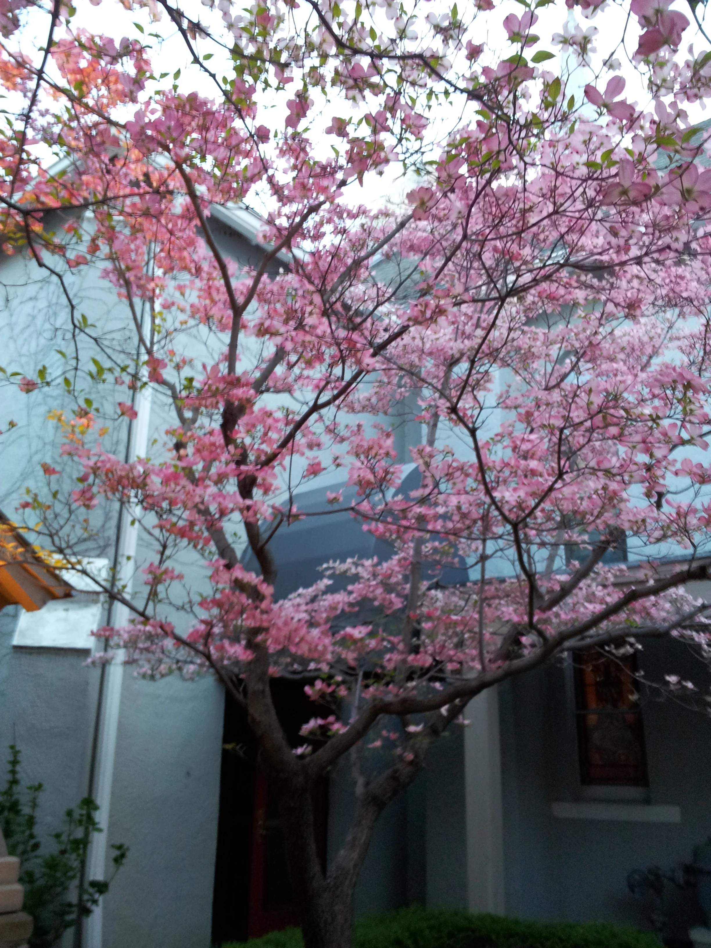20130502_203612 - Copy.jpg