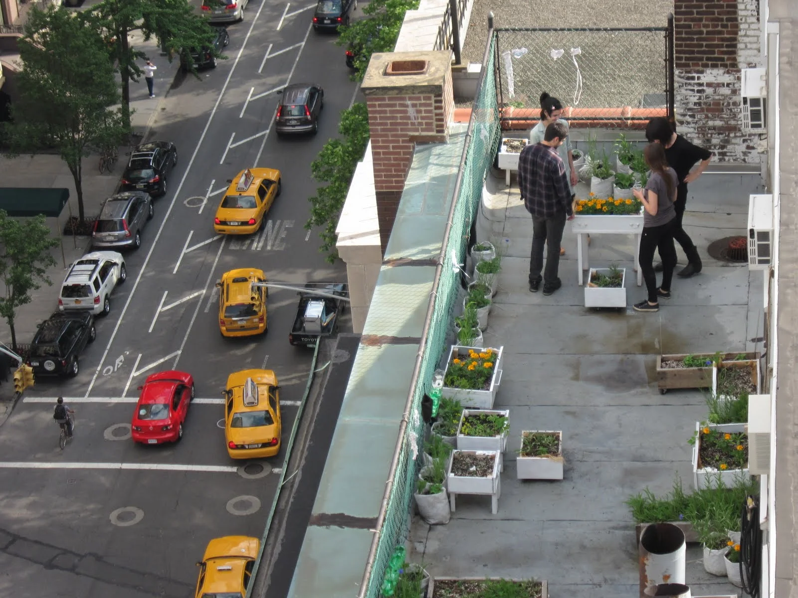 garden4.jpg