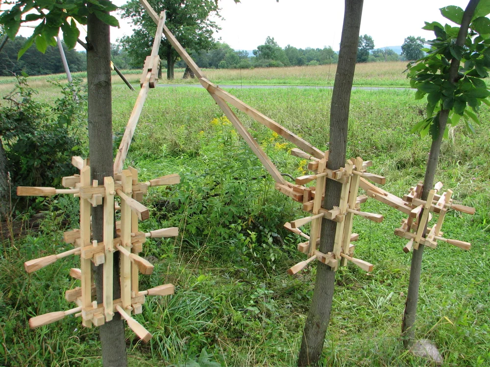 Detail of the bracing added to the saplings