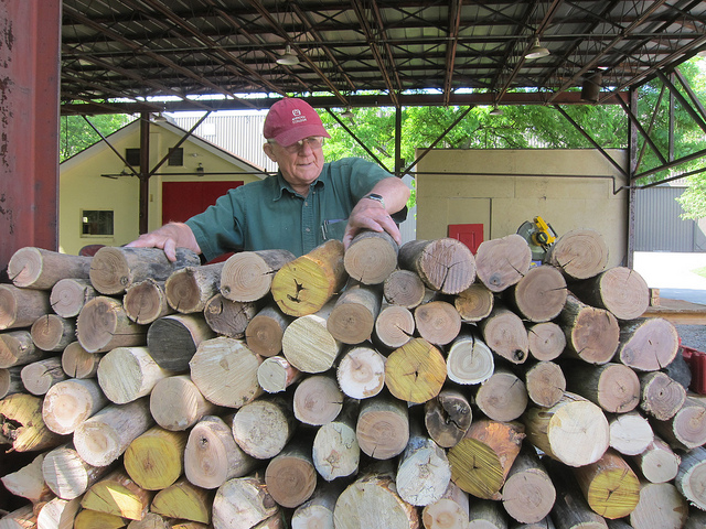 The stack of debarked, hardwood for the cordwood wall (photo by Sara Black)