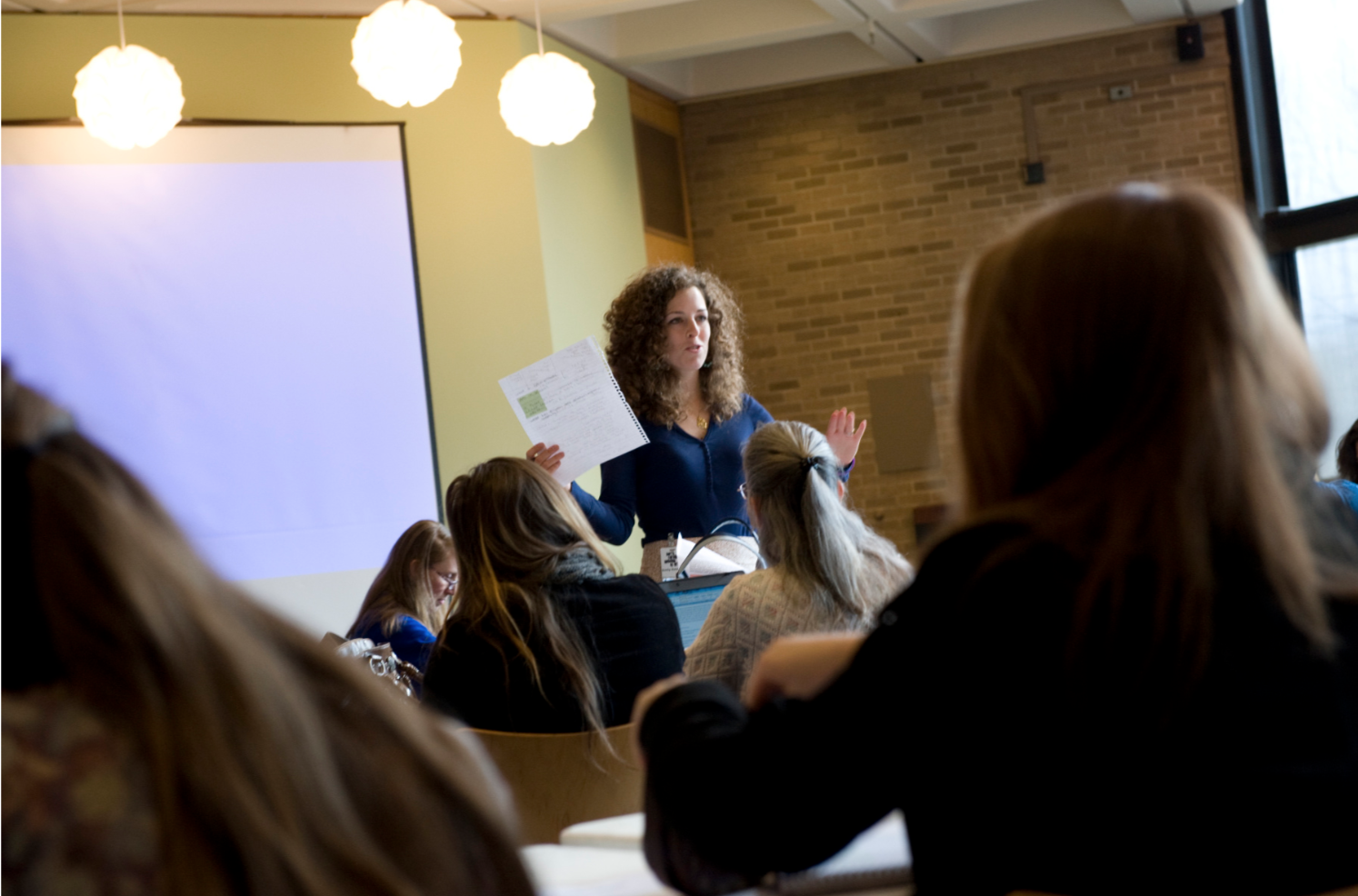 Facilitating a curriculum development workshop.