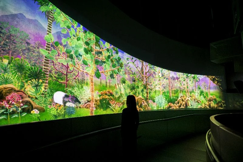 Courtesy TeamLab .