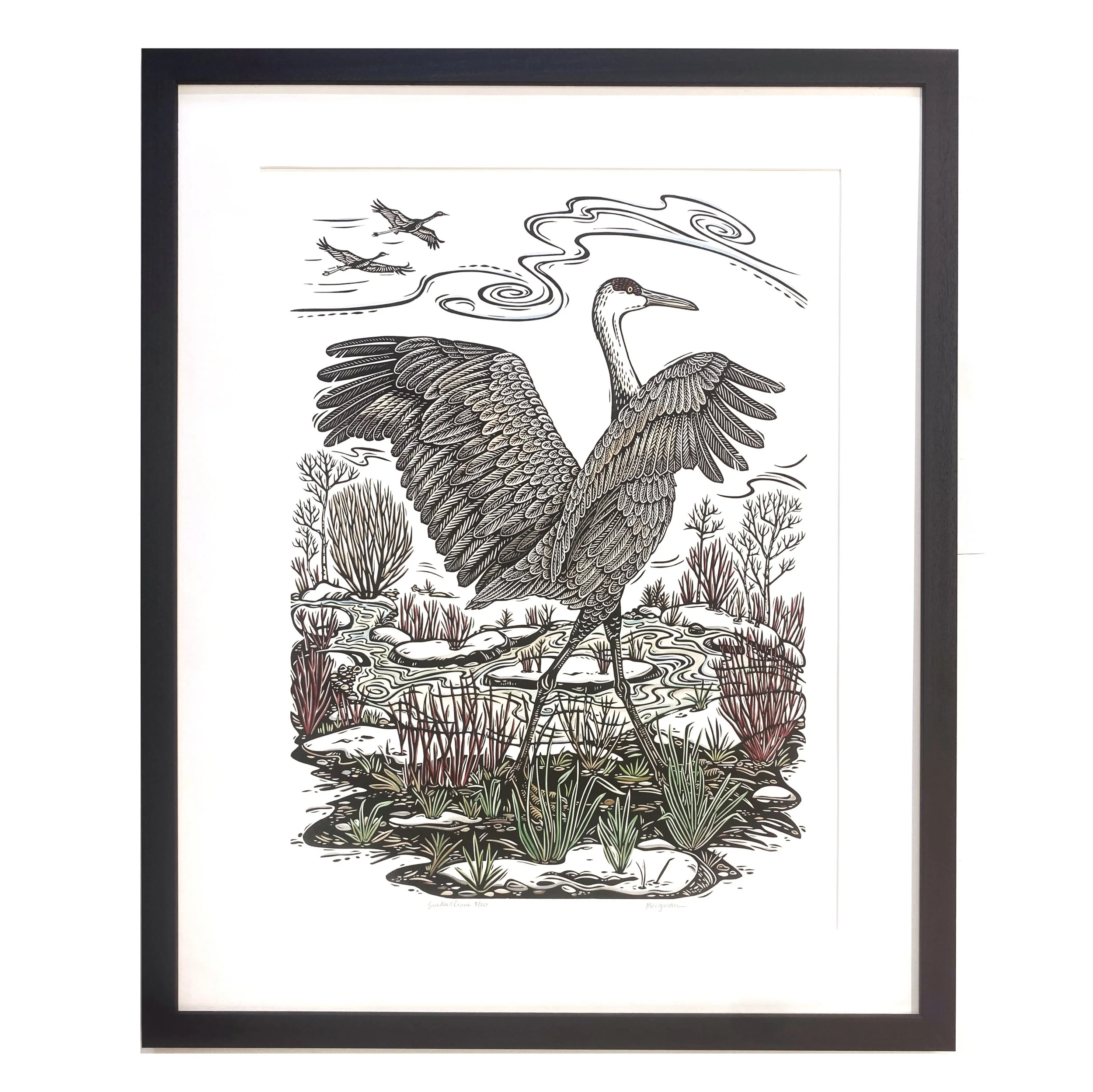 Sandhill Crane 3-20 framed.jpg