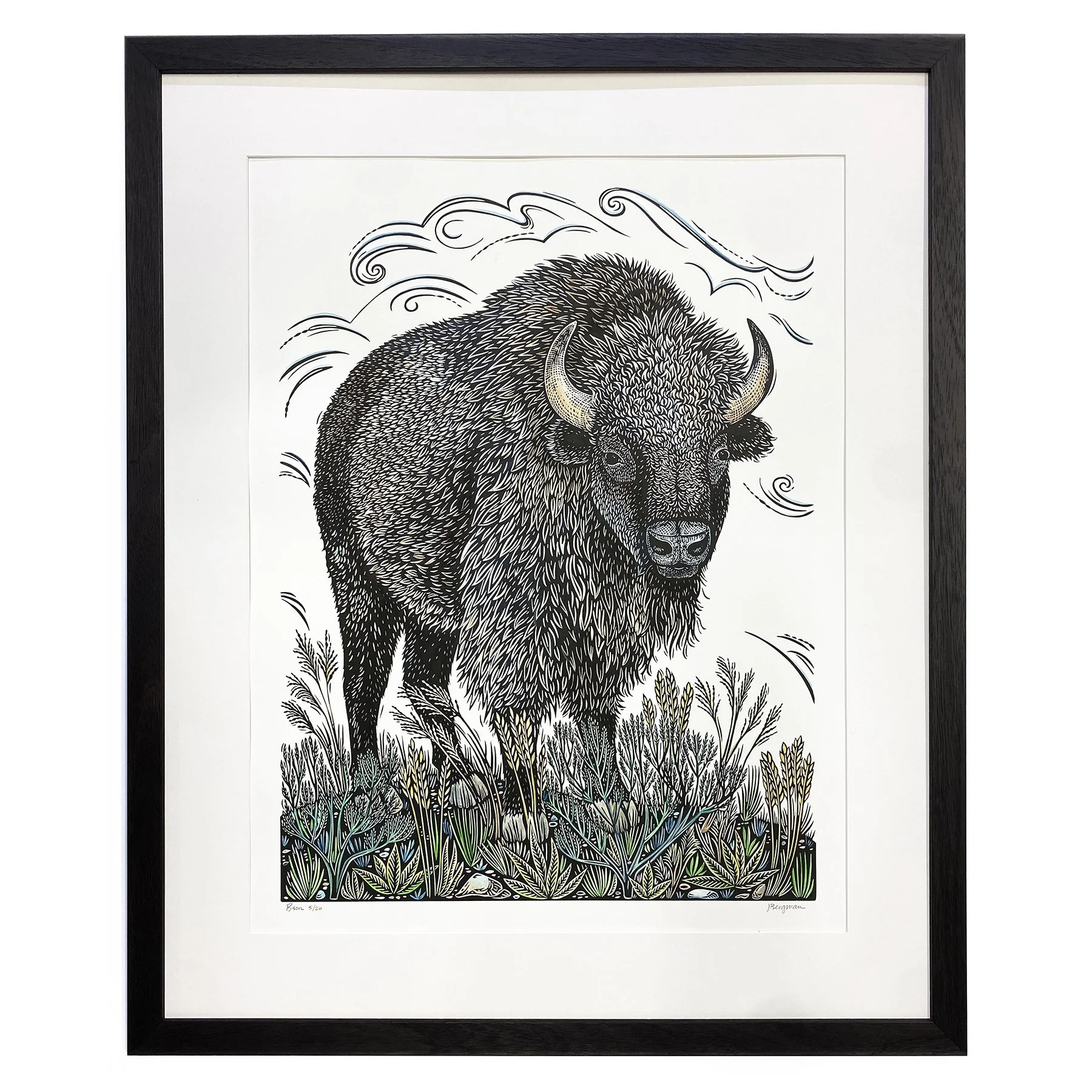 Bison 5-20 framed sm.jpg