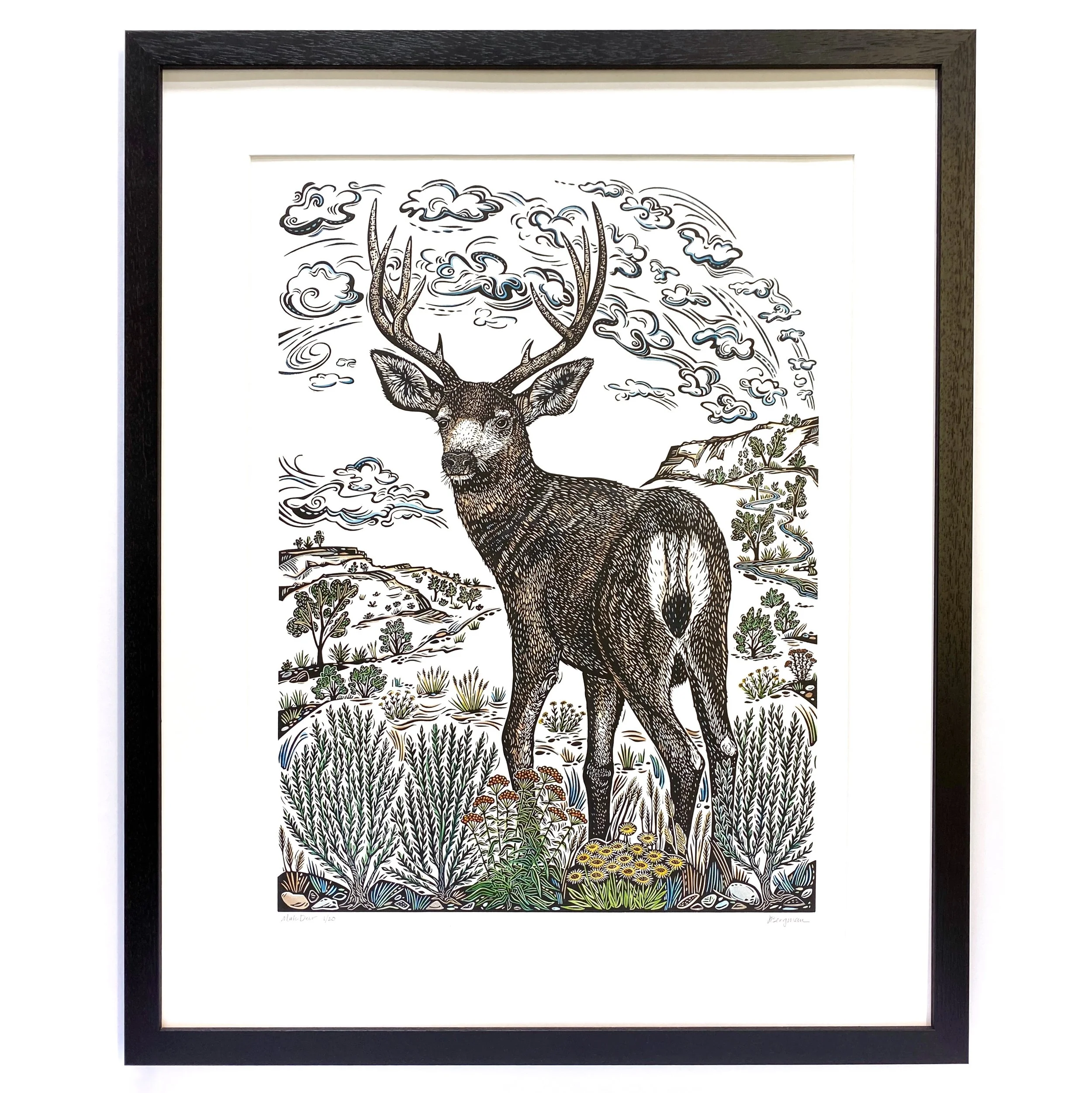 Mule Deer 1-20 framed.jpg
