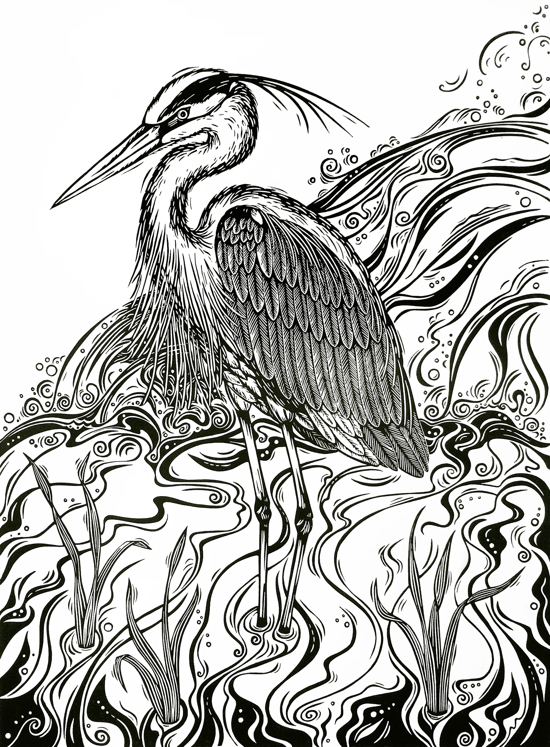 Jill Bergman Great Blue Heron linocut