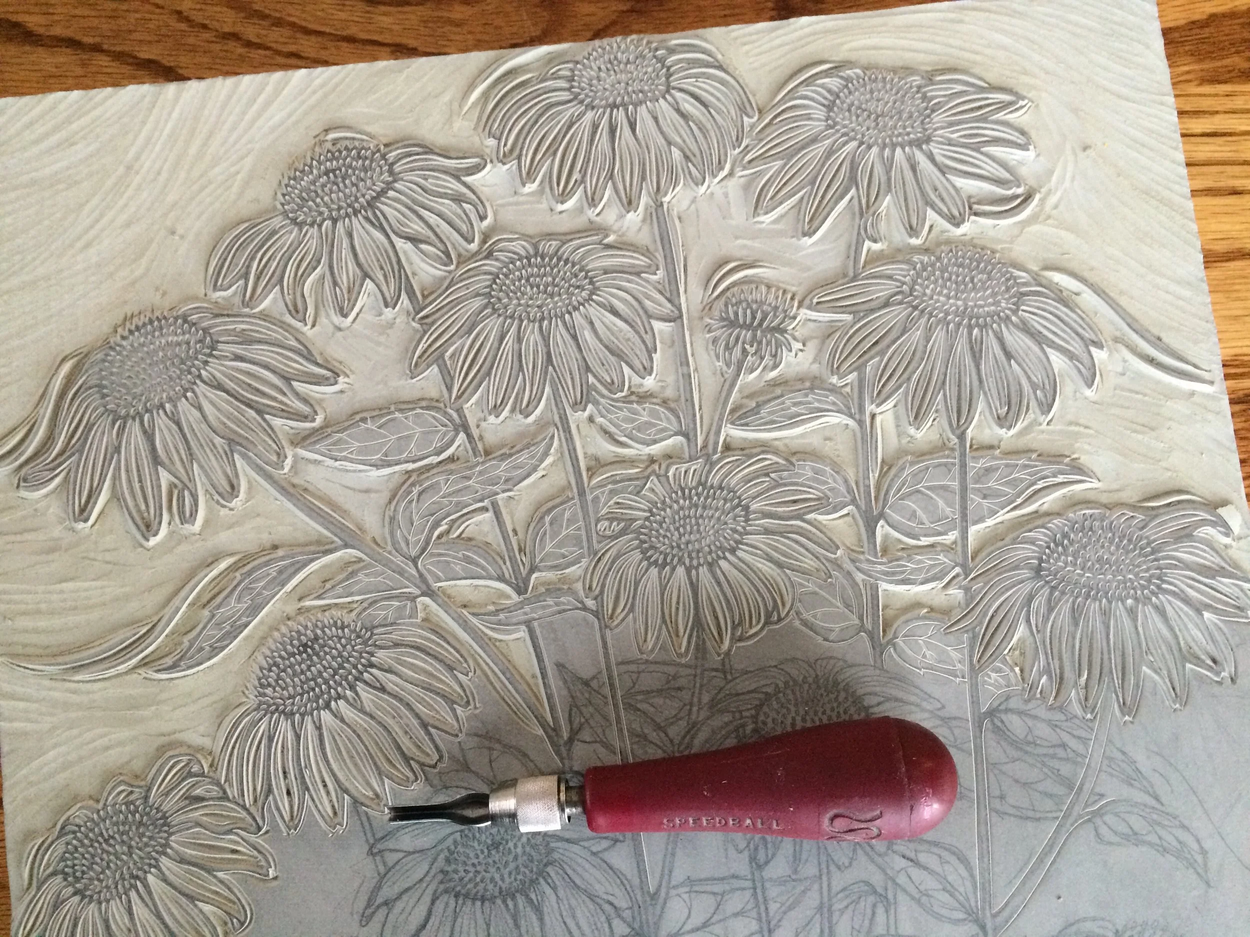 Jill Bergman Echinacea linocut