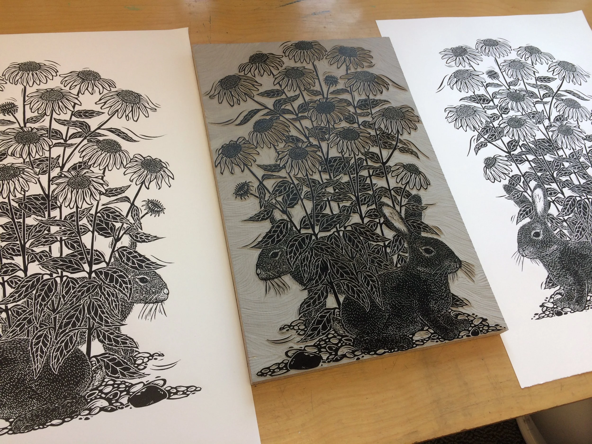 Jill Bergman Echinacea linocut