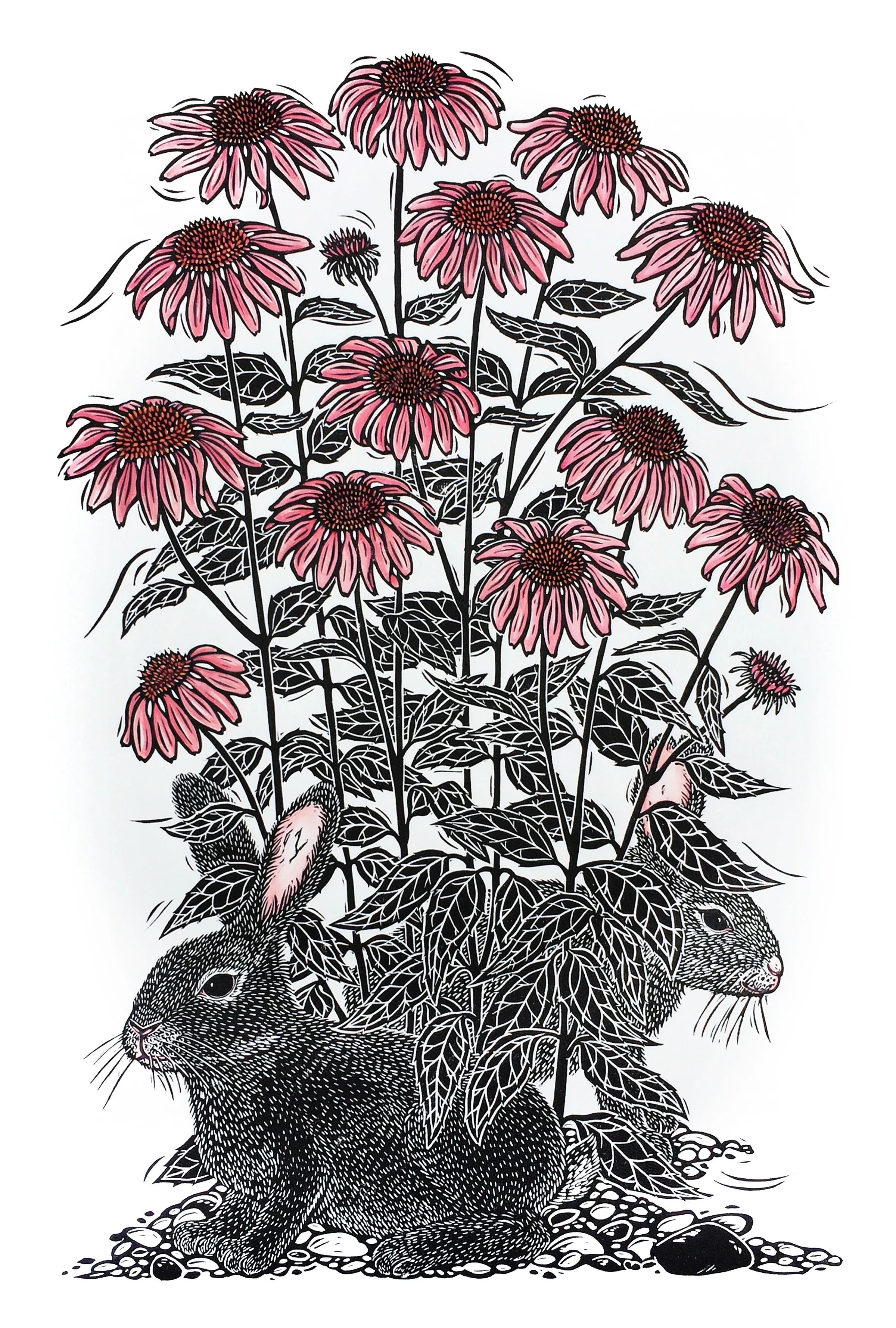 Jill Bergman Echinacea linocut