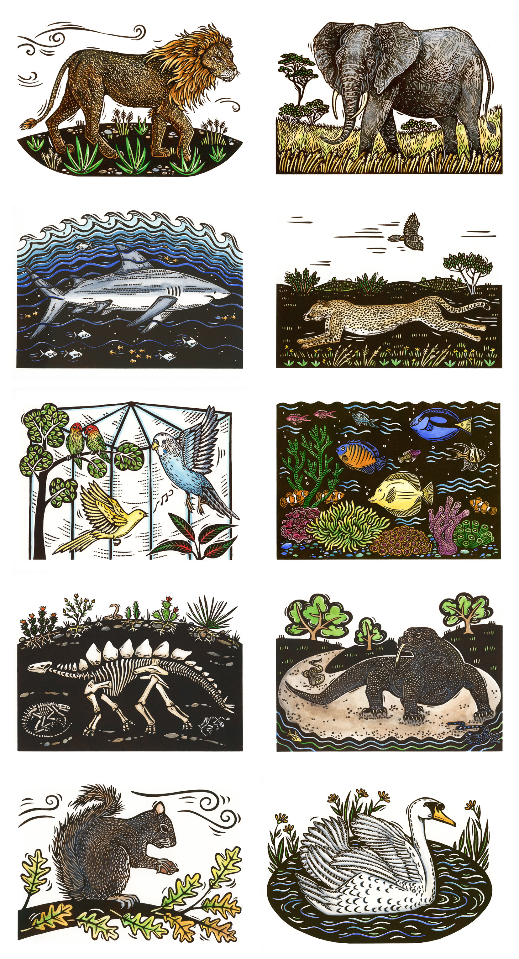 Carnival of the Animals layout.jpg