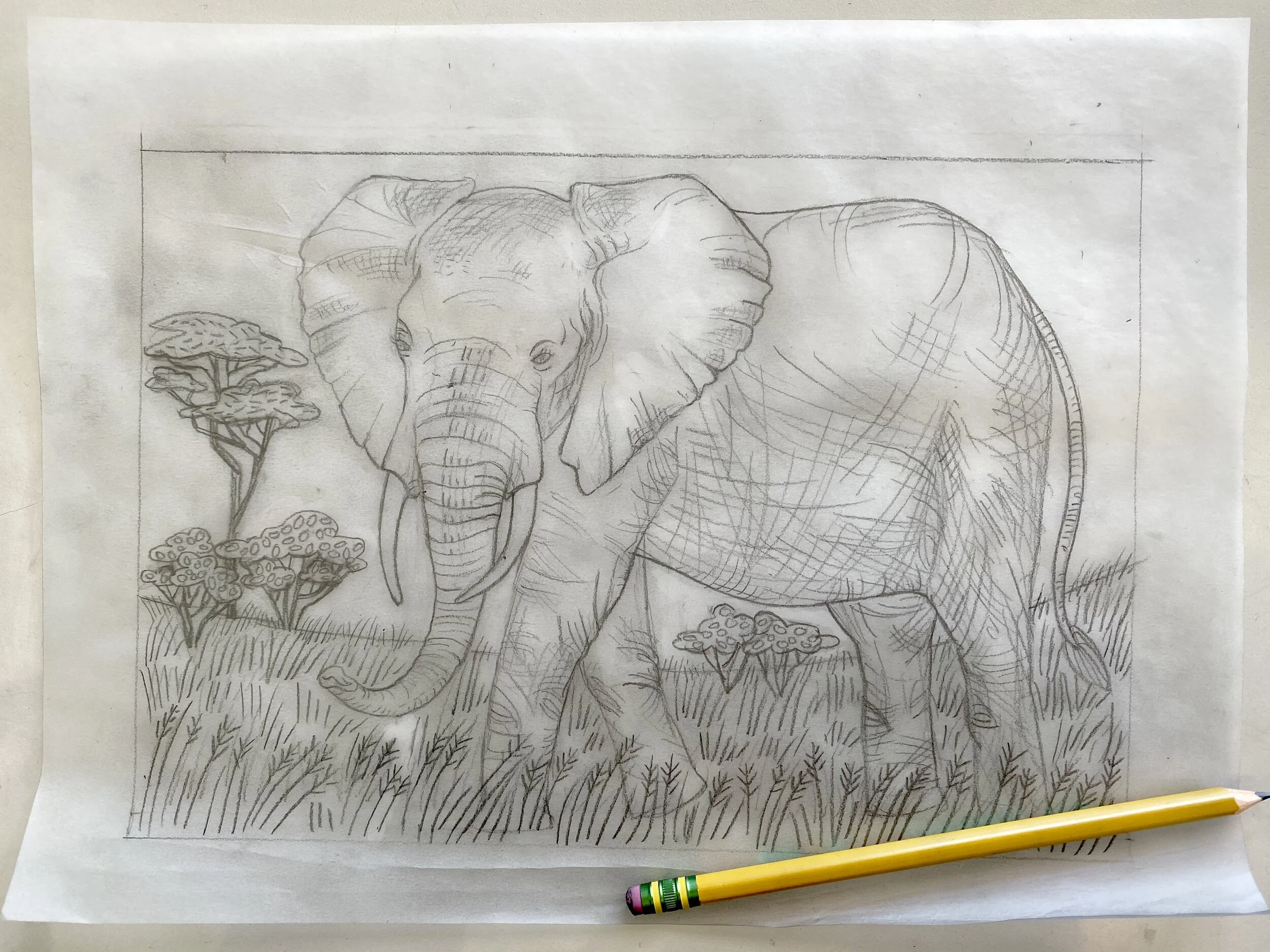 Elephant drawing.jpg