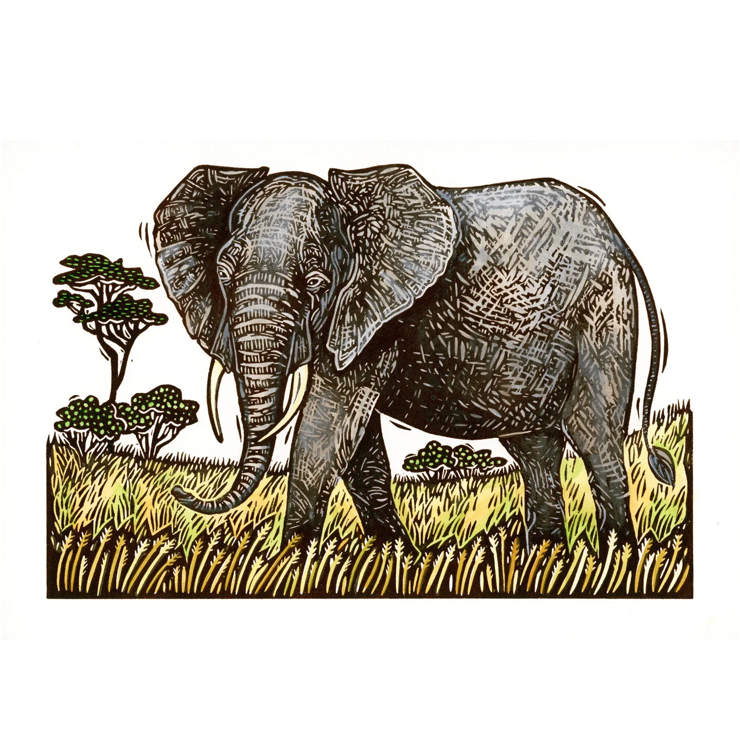 Elephant painted square.jpg