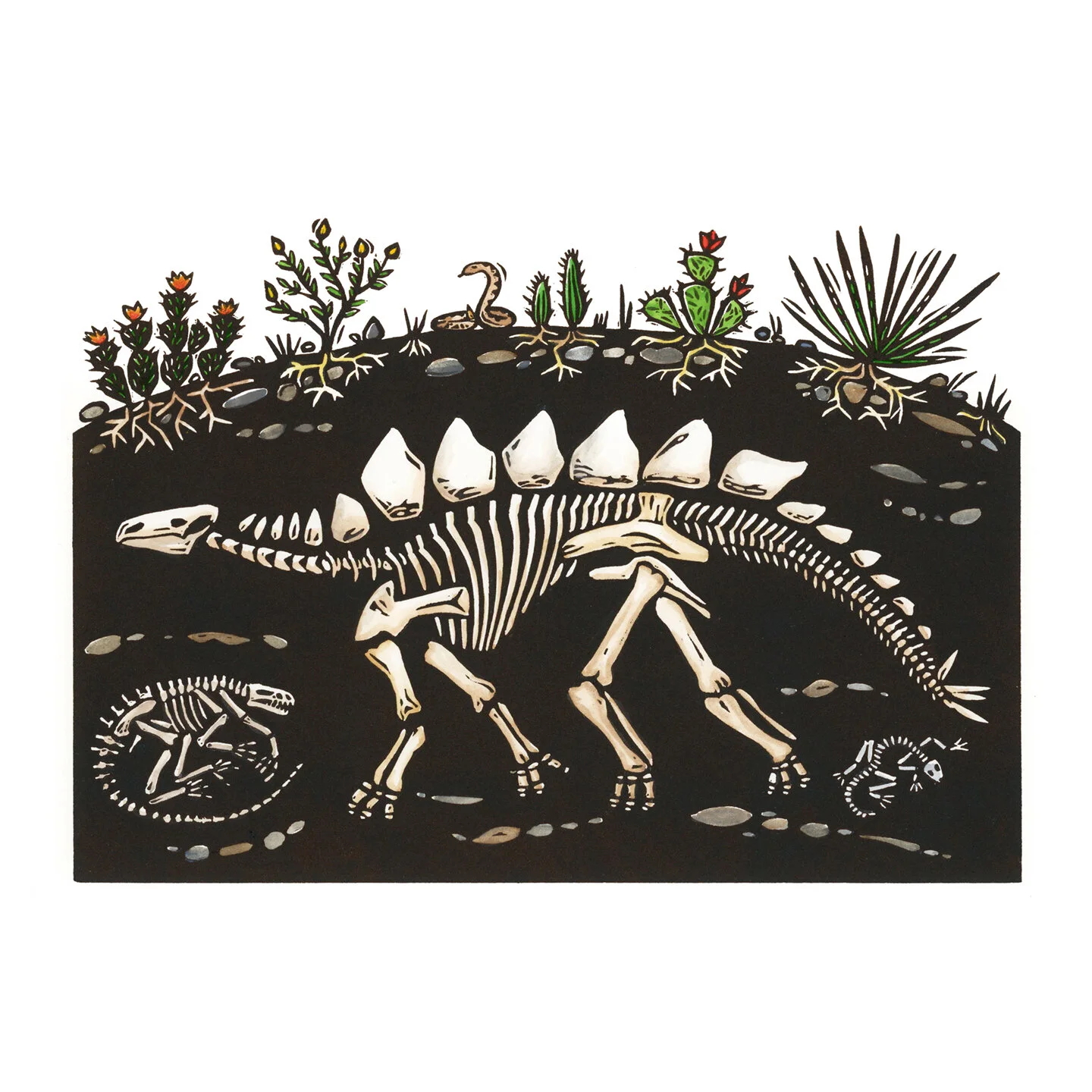 Fossils painted square.jpg
