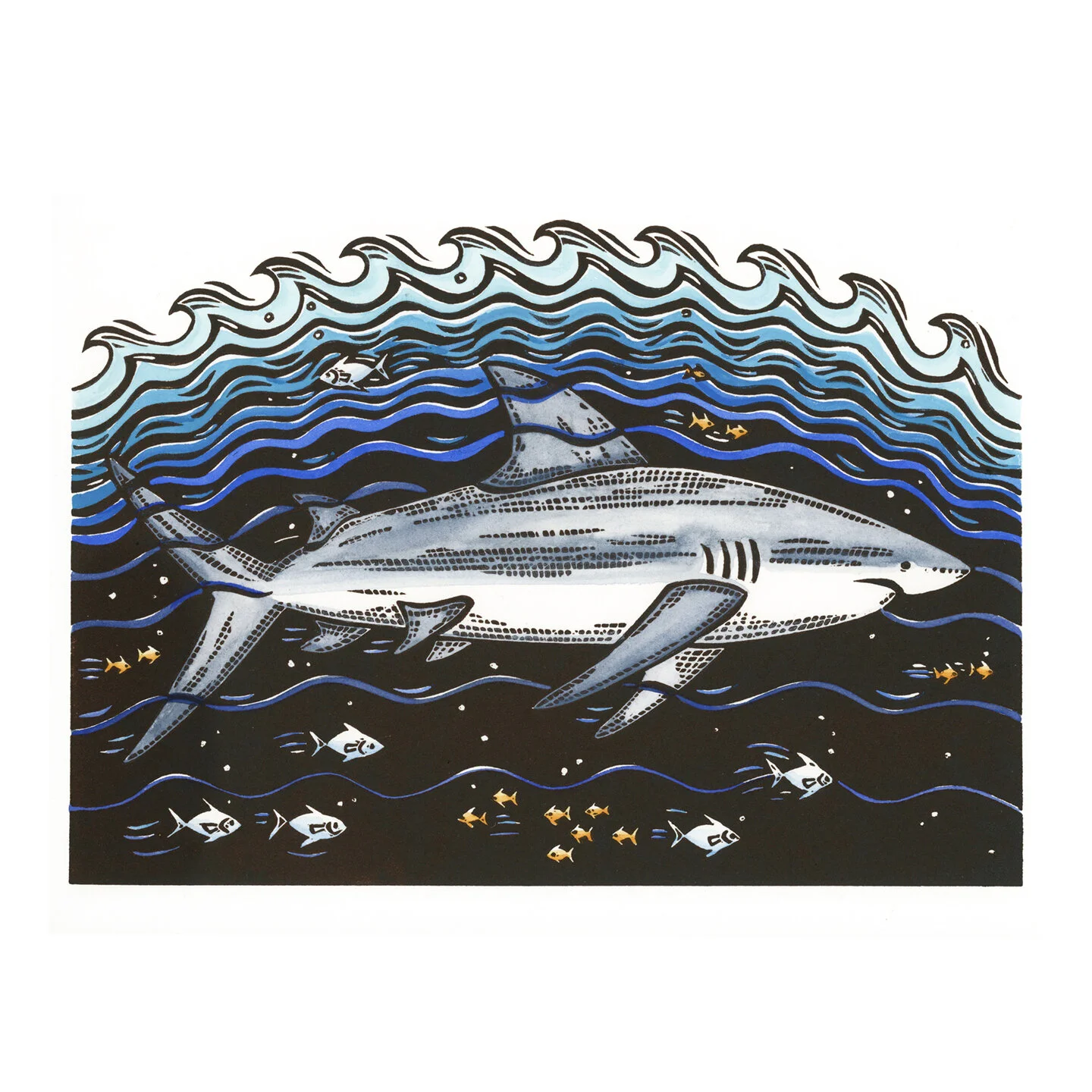 Shark painted square.jpg