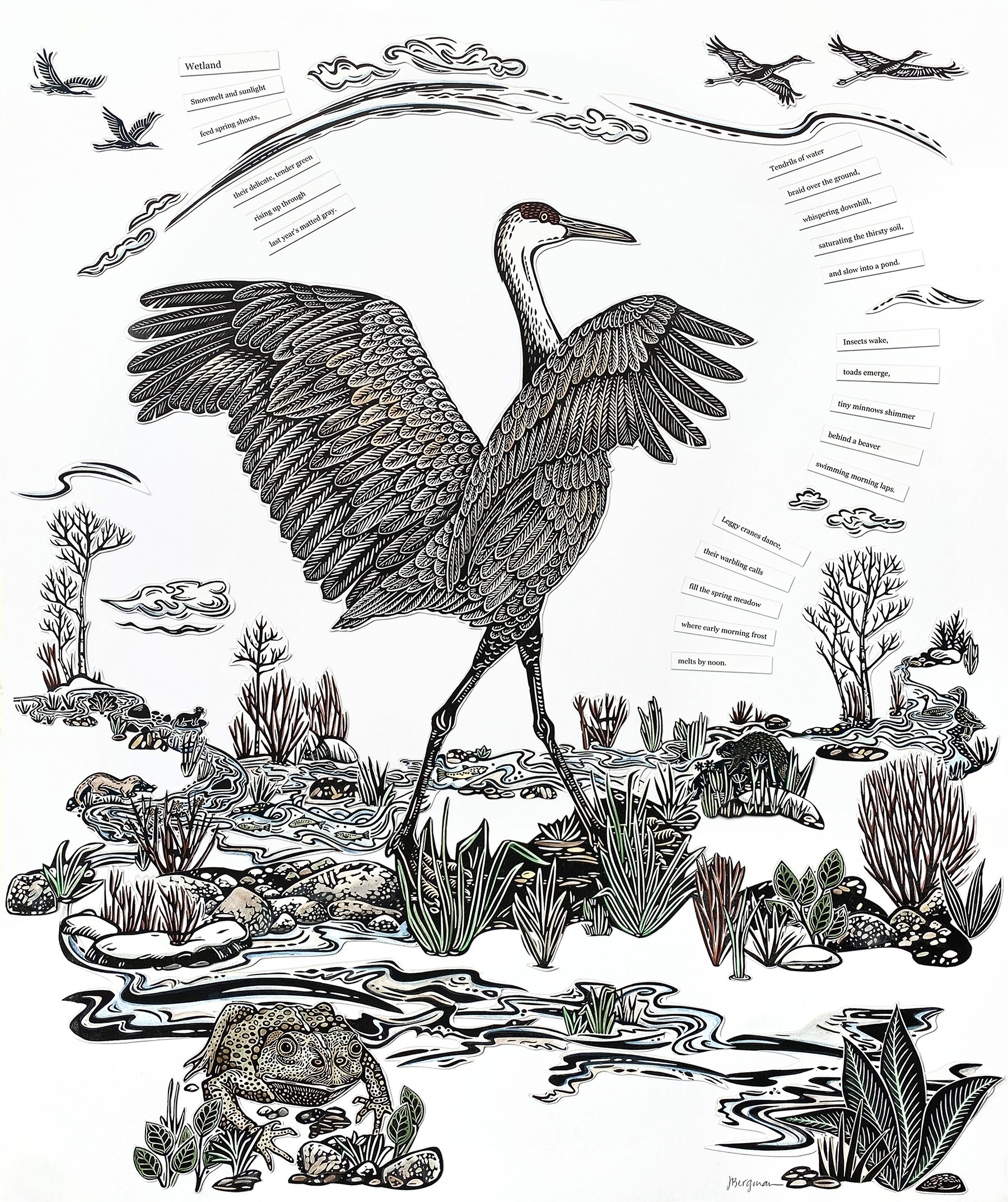 Wetland