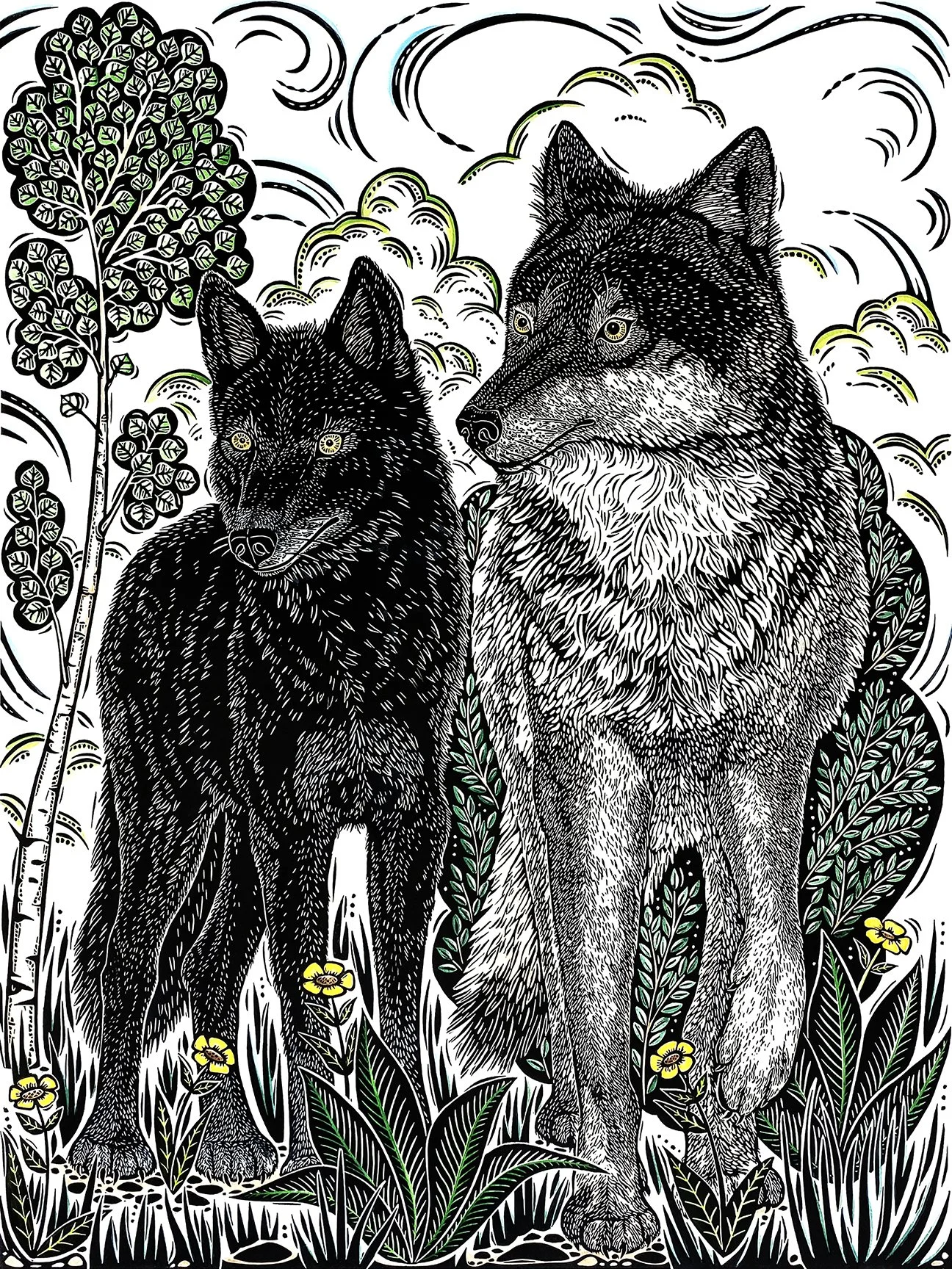 Colorado Wolves
