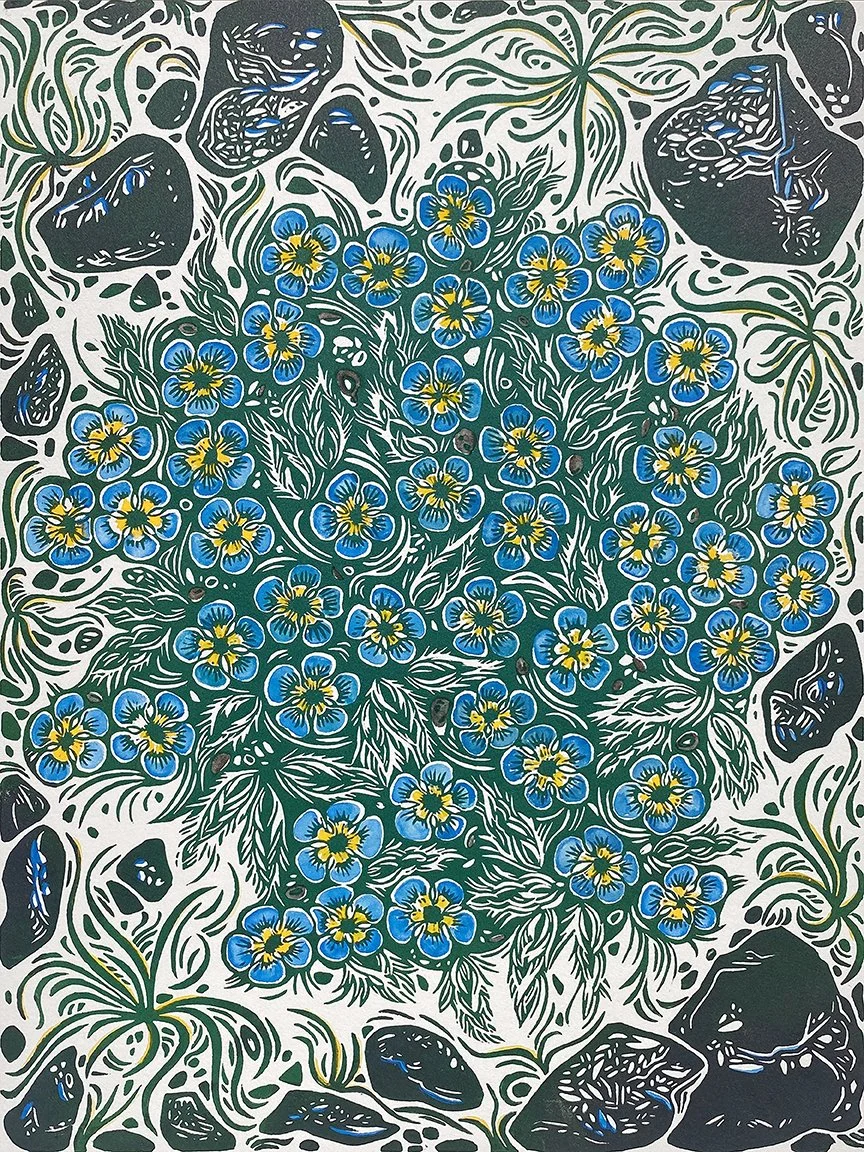 Alpine Forget-me-nots