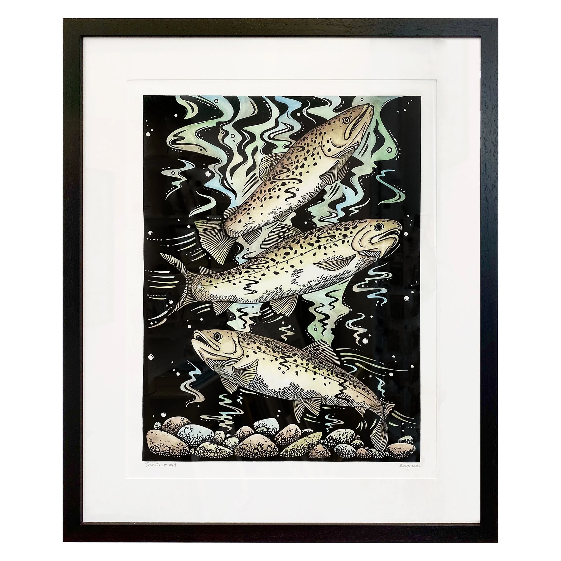 Brown Trout framed 10-14 sm.jpg