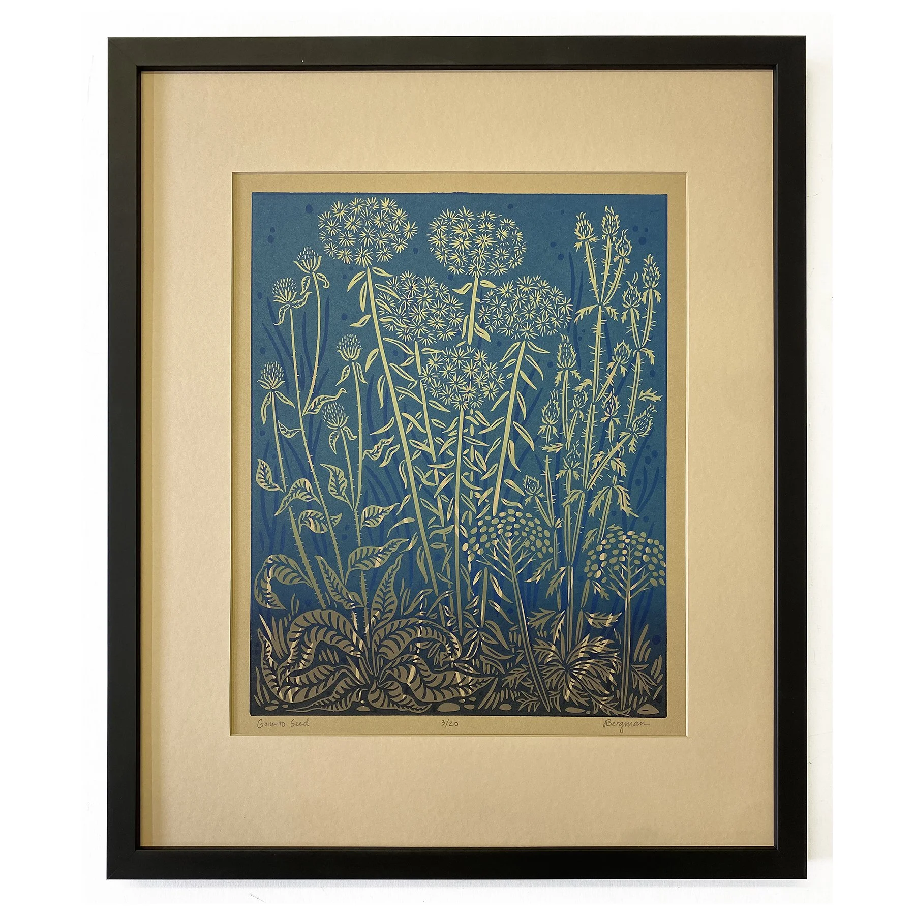 Gone to Seed 3-20 framed sm.jpg