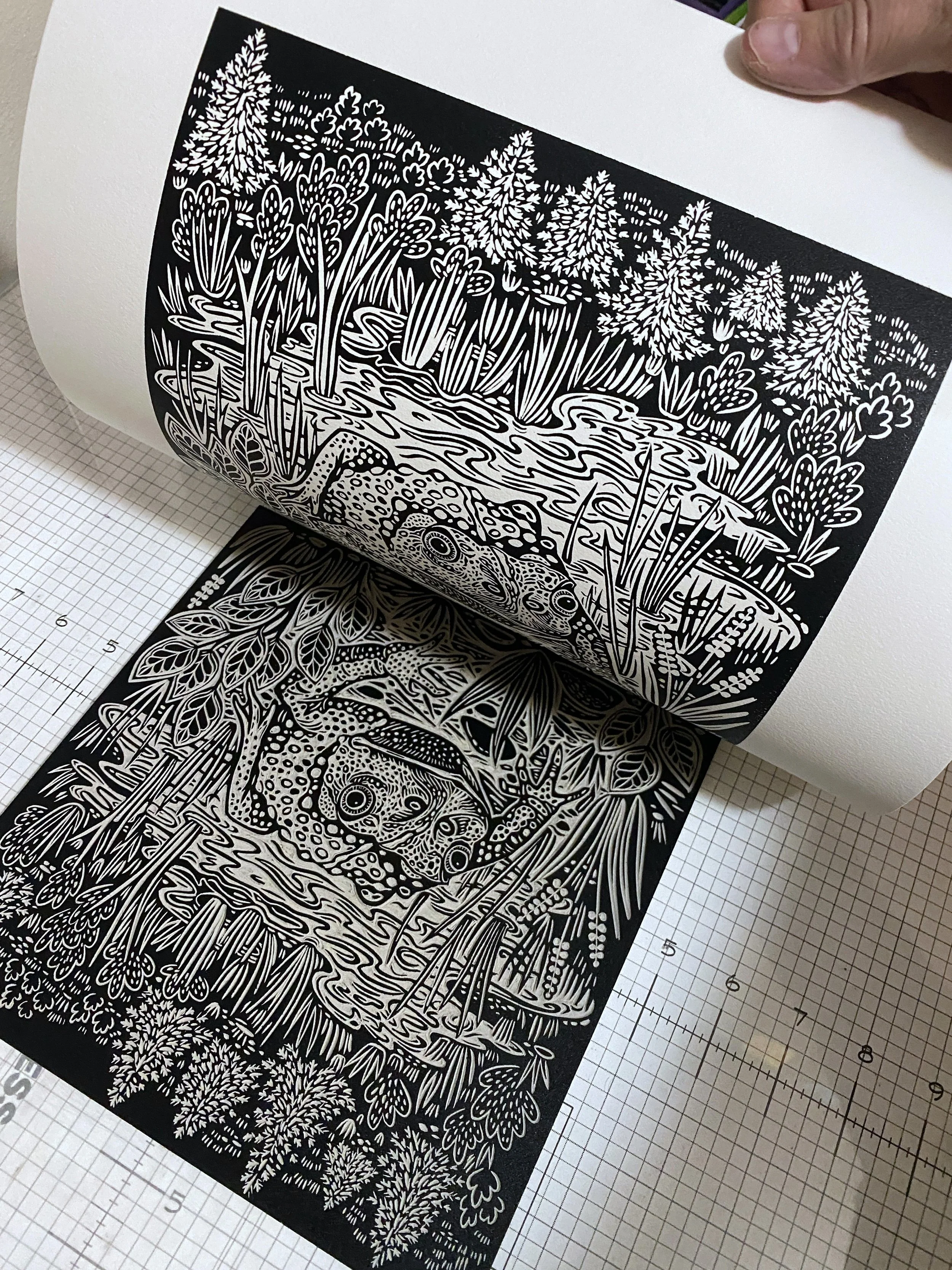 printing boreal toad.jpg