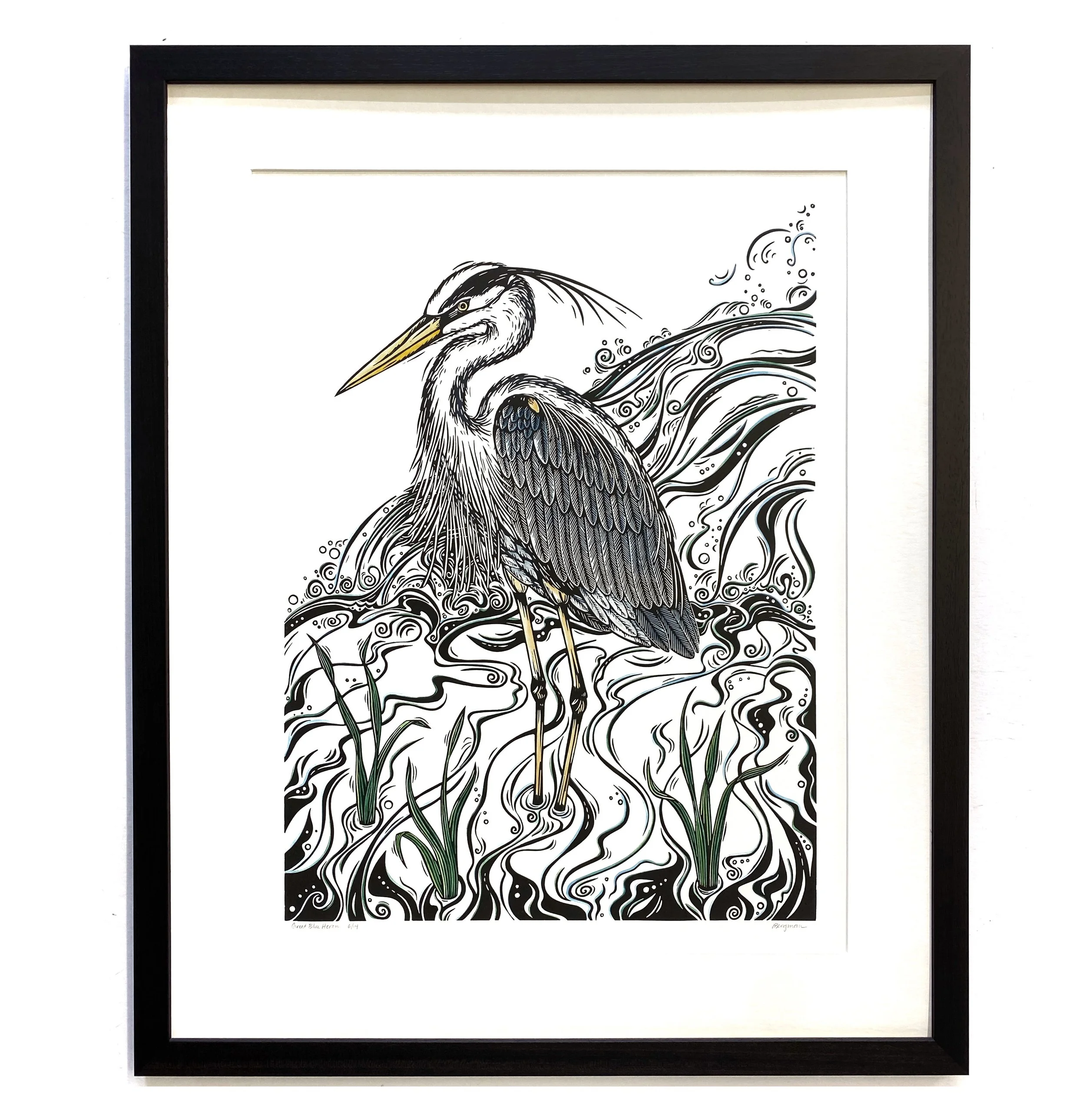 Great Blue Heron 6-14 framed.jpg