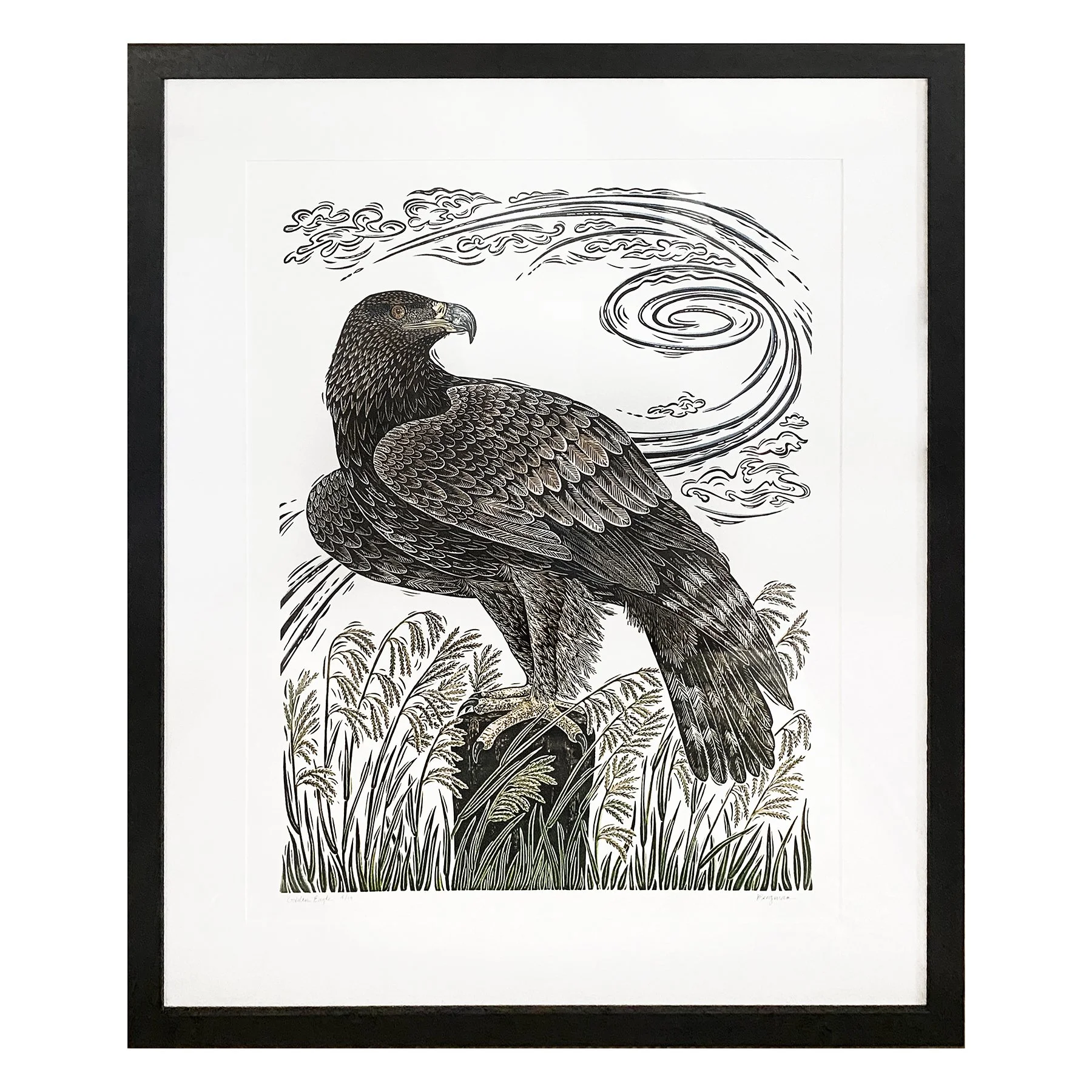 Golden Eagle 4-14 framed sm.jpg