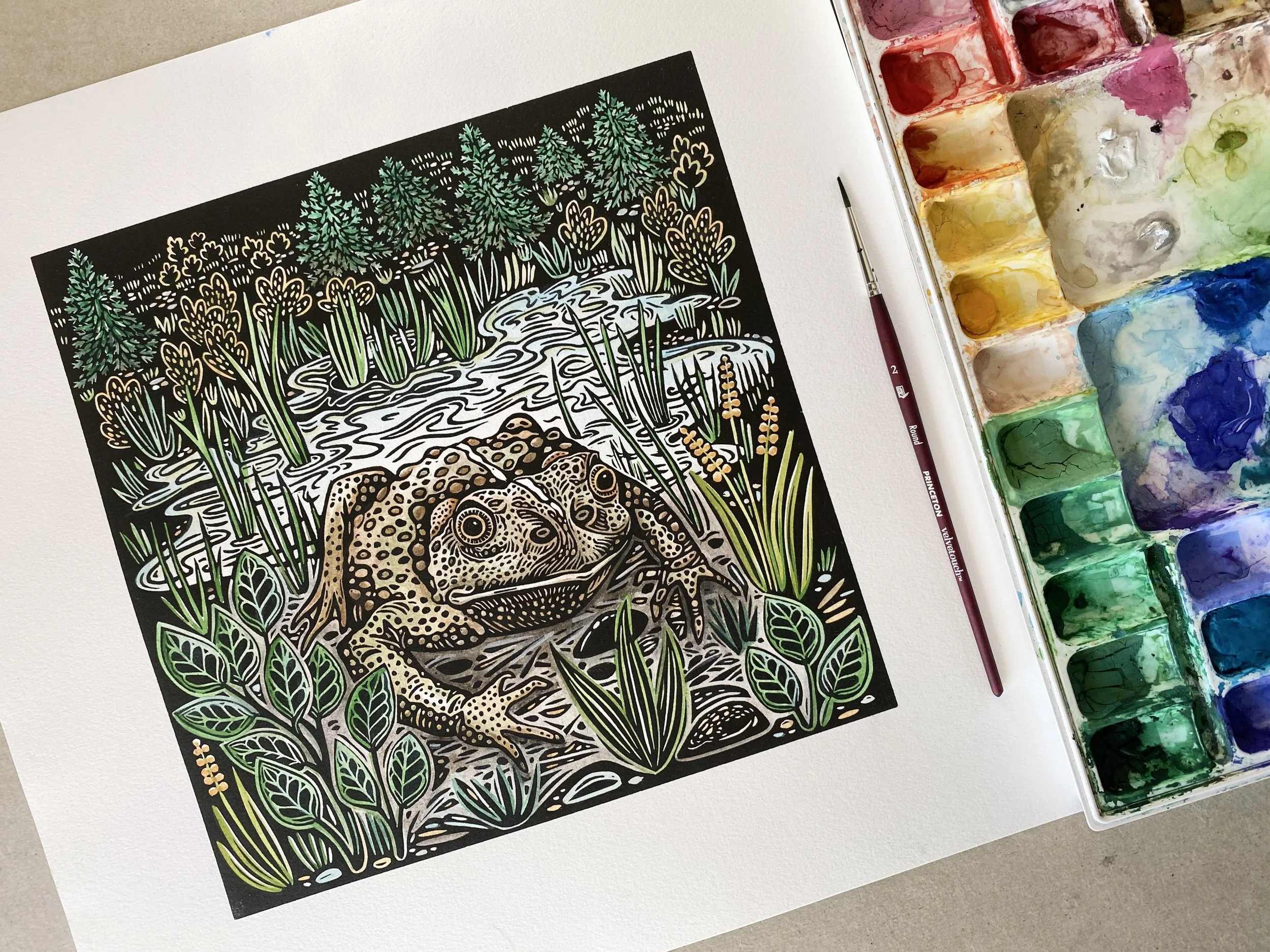 Painting the boreal toad.jpg