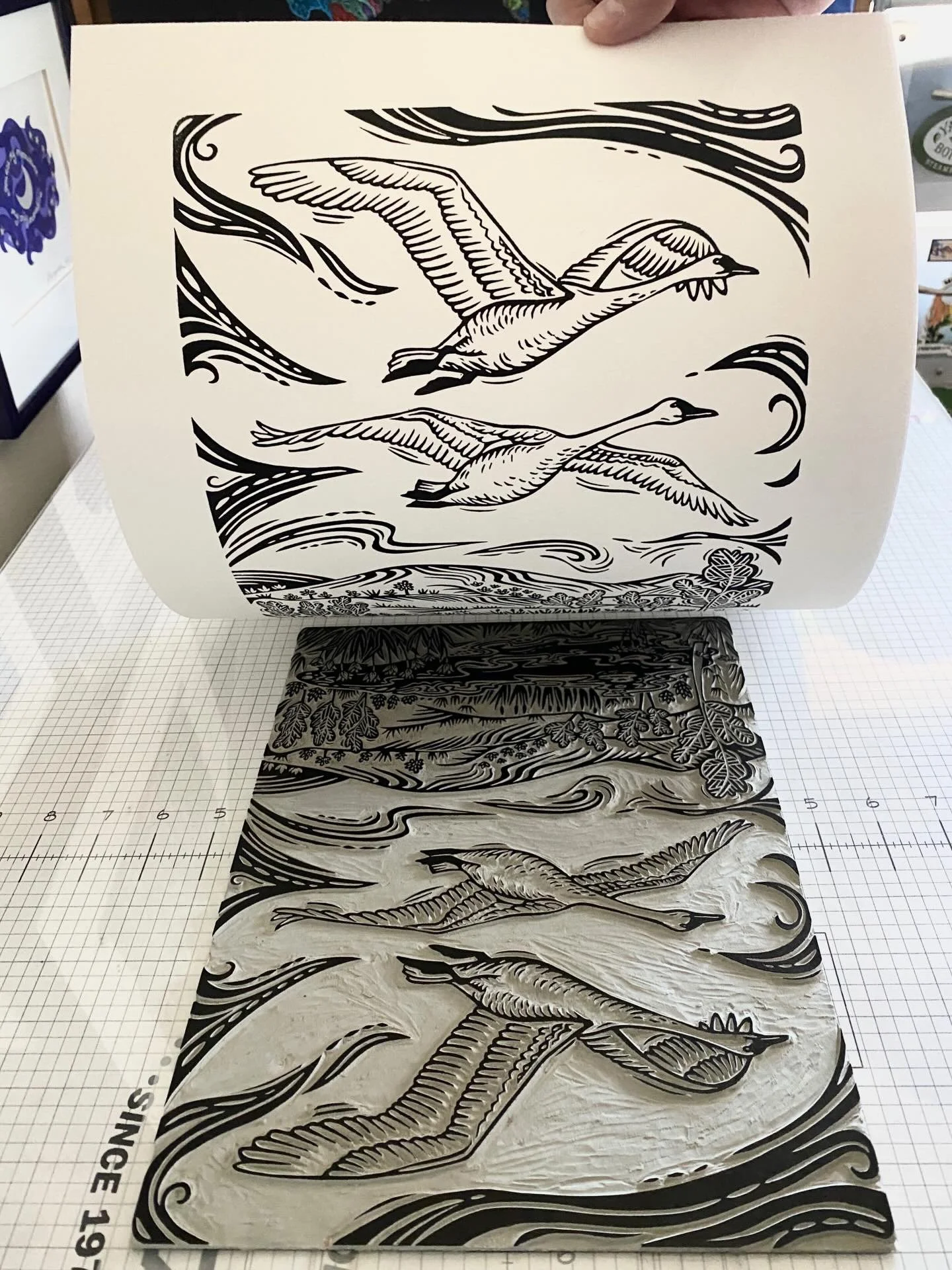 Printing swans.jpg