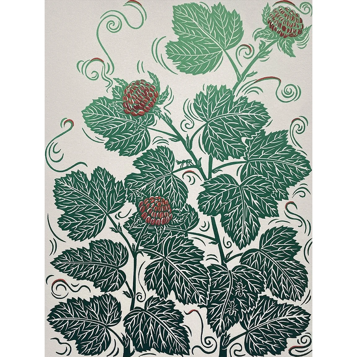 Wild Raspberries sq.jpg
