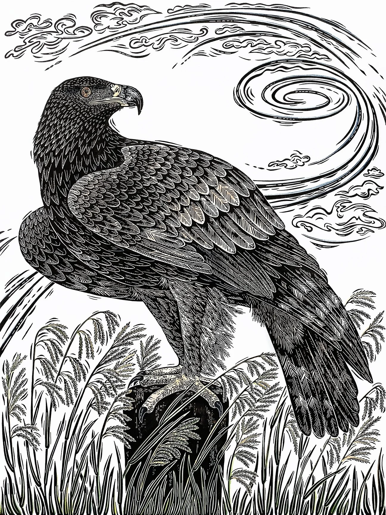 Bergman Golden Eagle painted.jpg