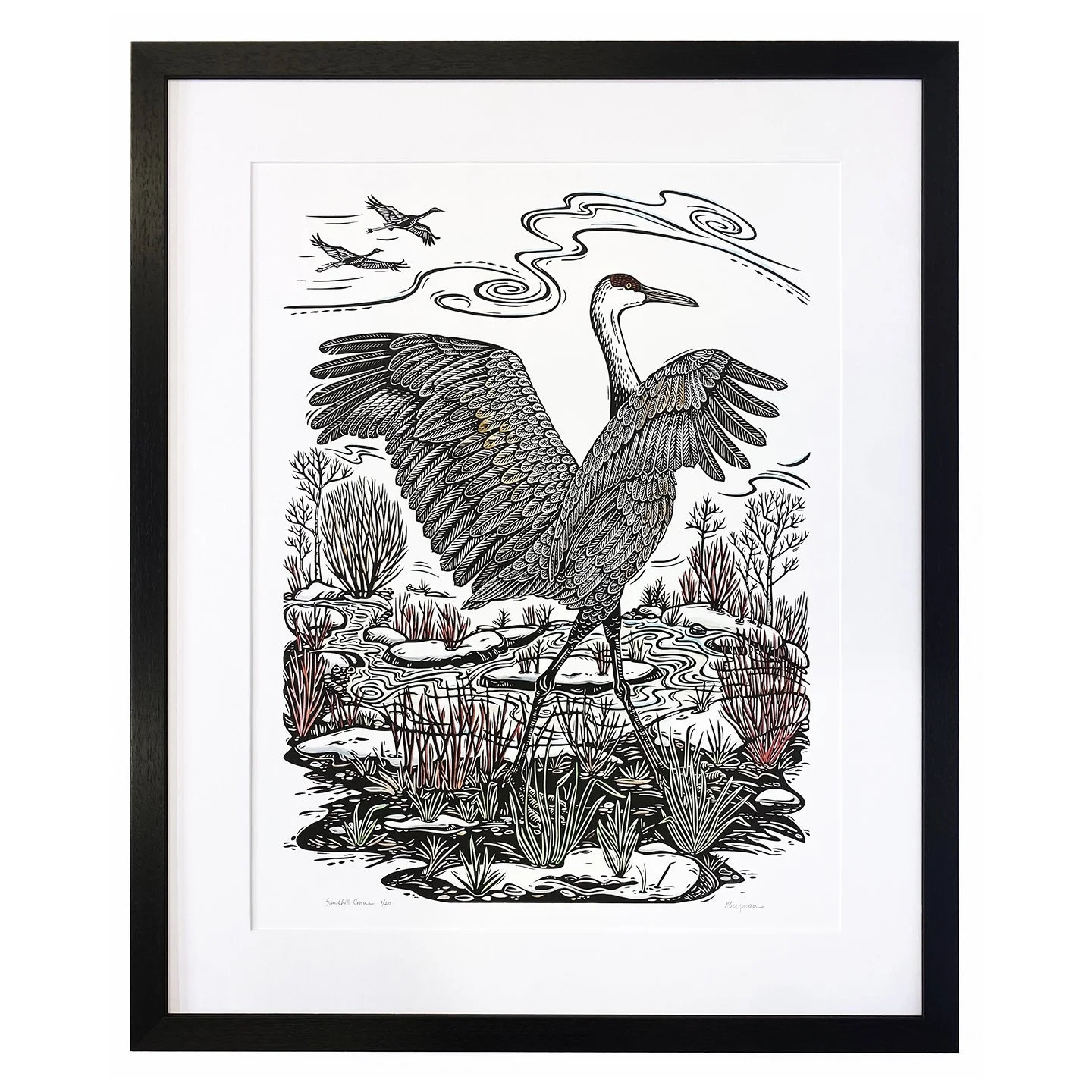 Sandhill Crane framed sm.jpg