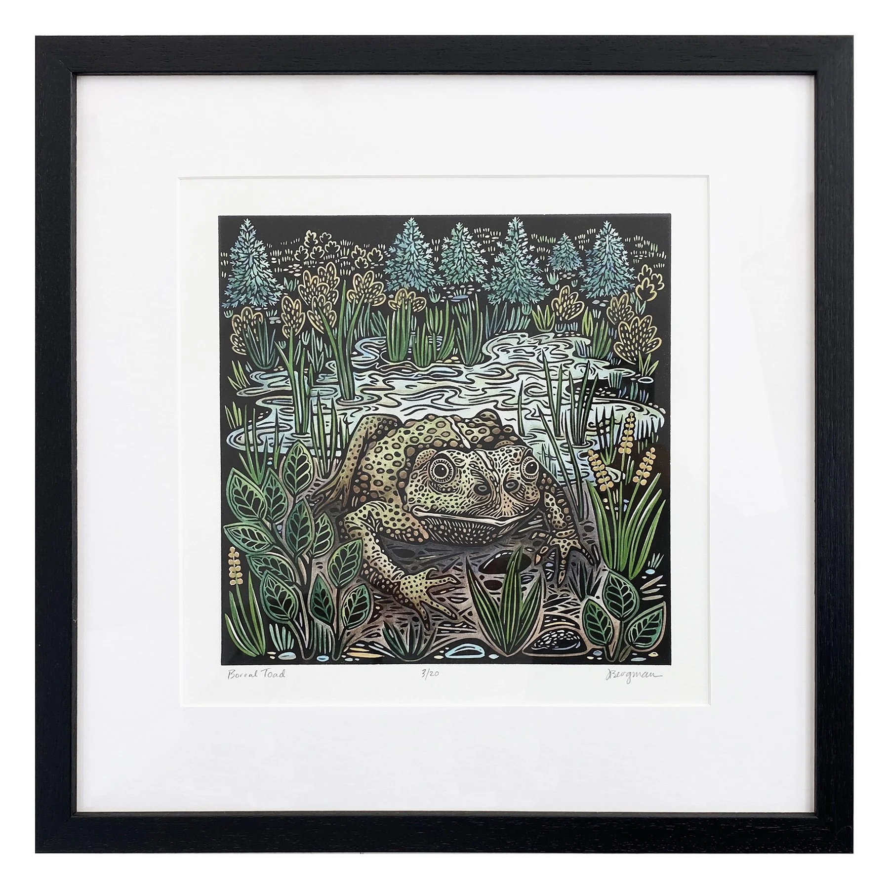 Boreal Toad 3-12 framed sm.jpg