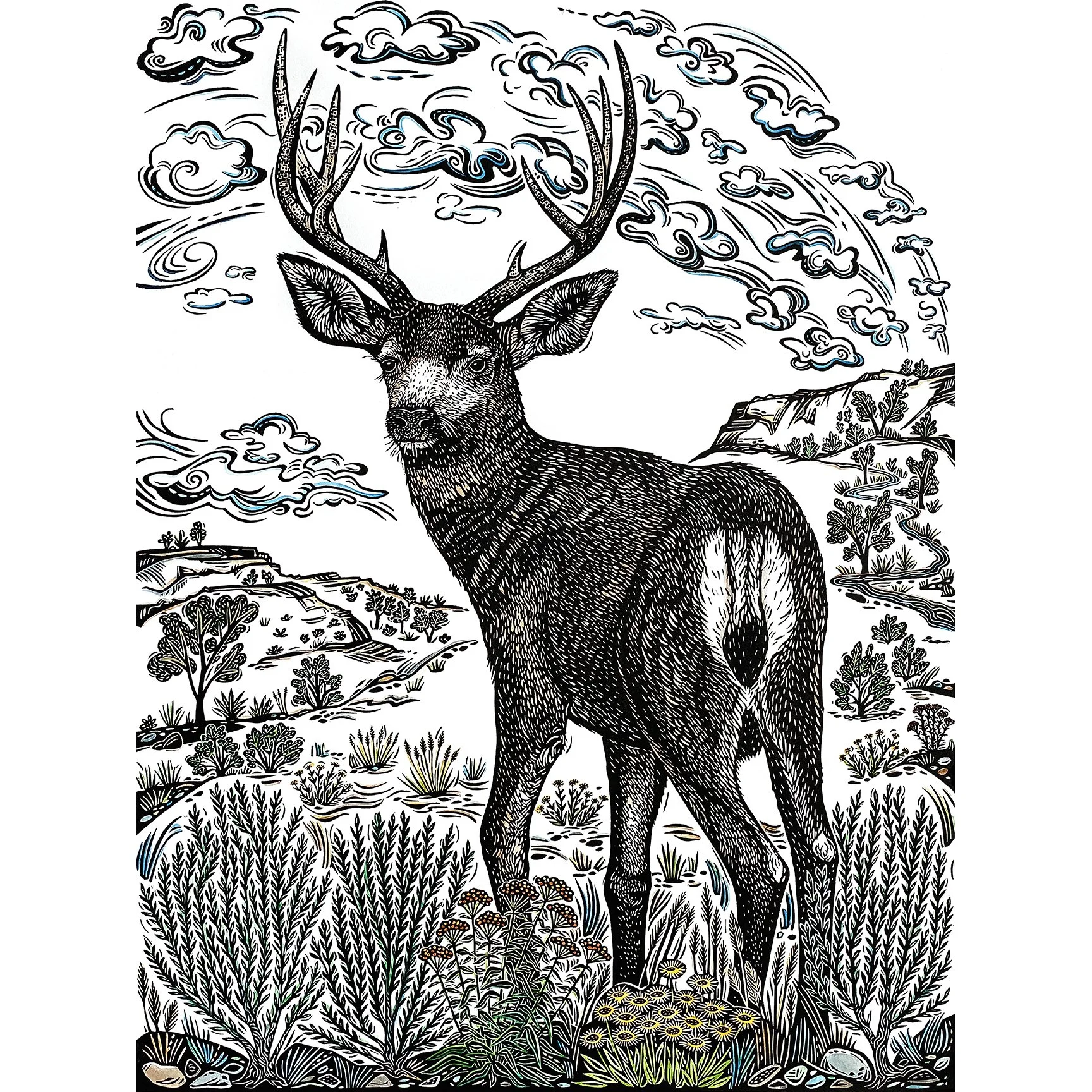 Bergman Mule Deer painted sq.jpg