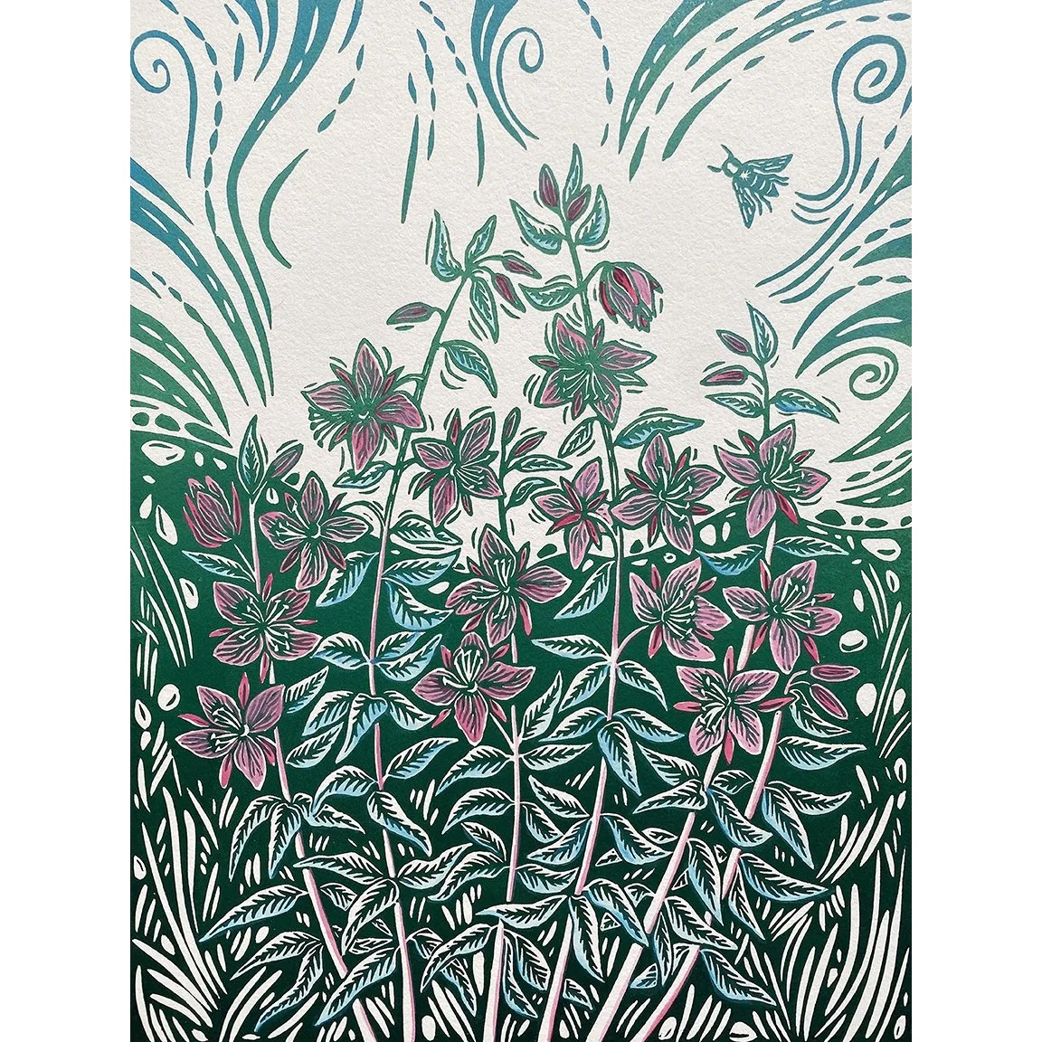 Arcitc Fireweed sq.jpg