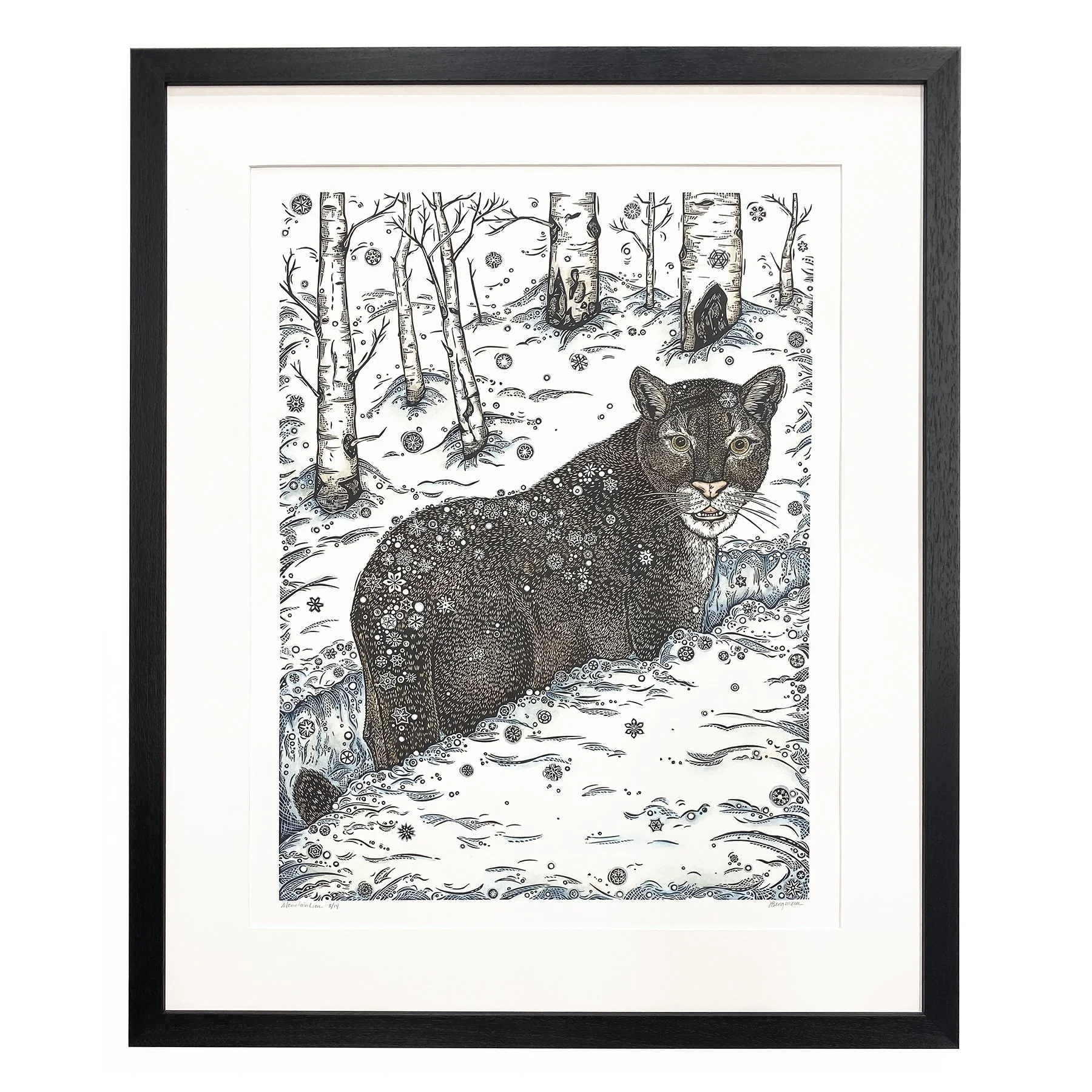 Mountain Lion 3-14 framed sm.jpg